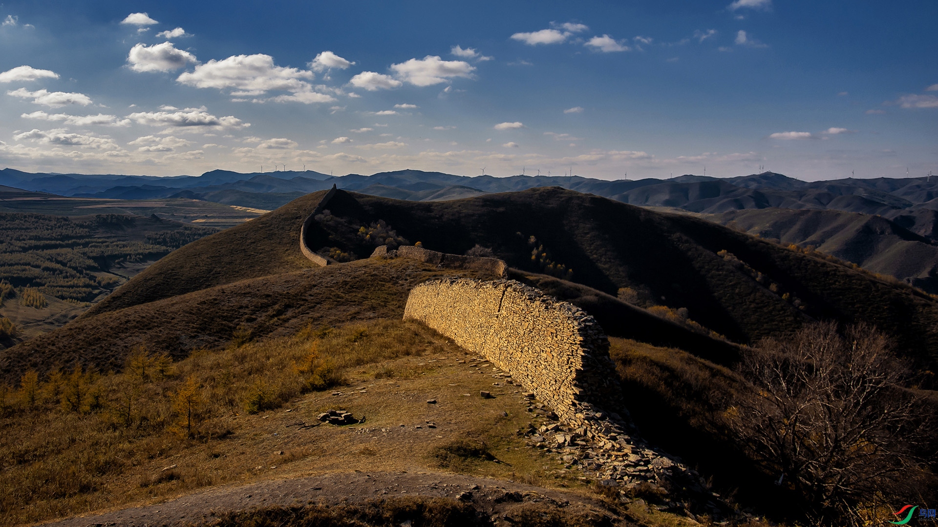 DSC_0004-20211020 ����.jpg