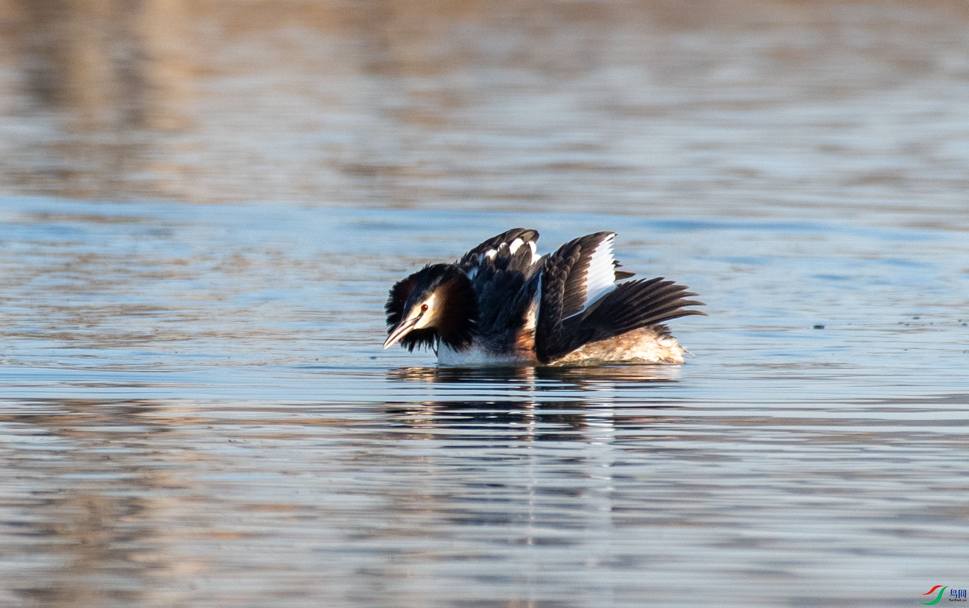 DSC_4854.jpg