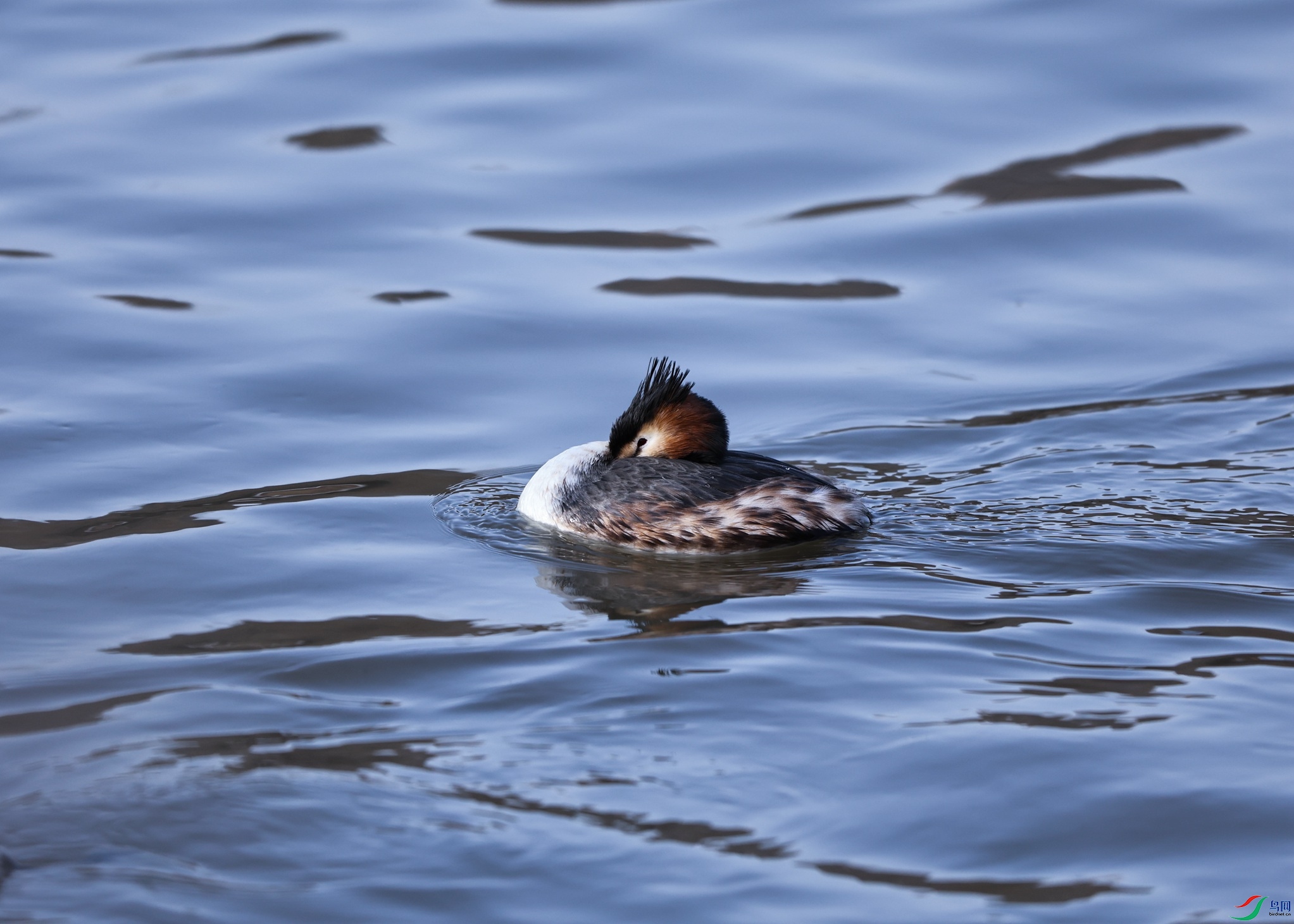 ���񾲡� 01_����.jpg