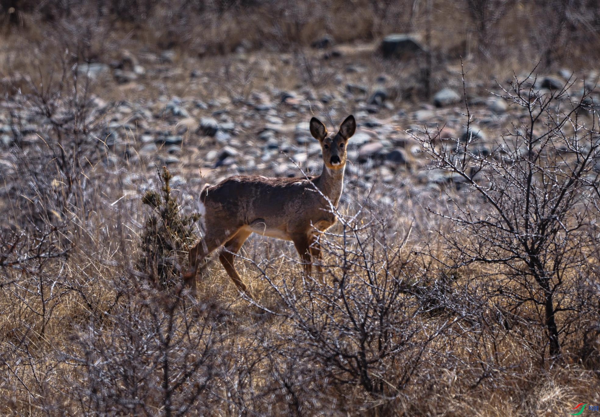 ��¹ - ����.jpg