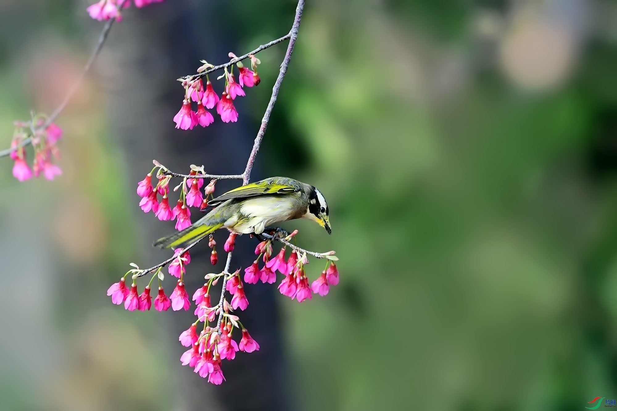 DSC_6827.jpg