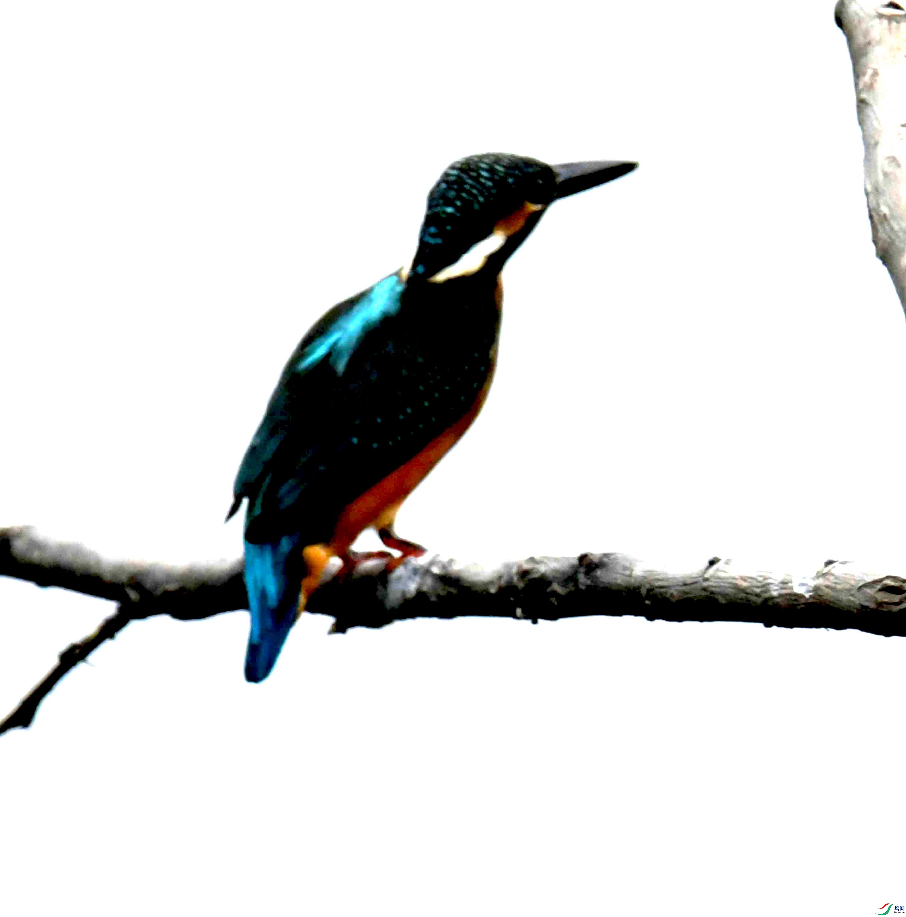 DSC_2725.JPG