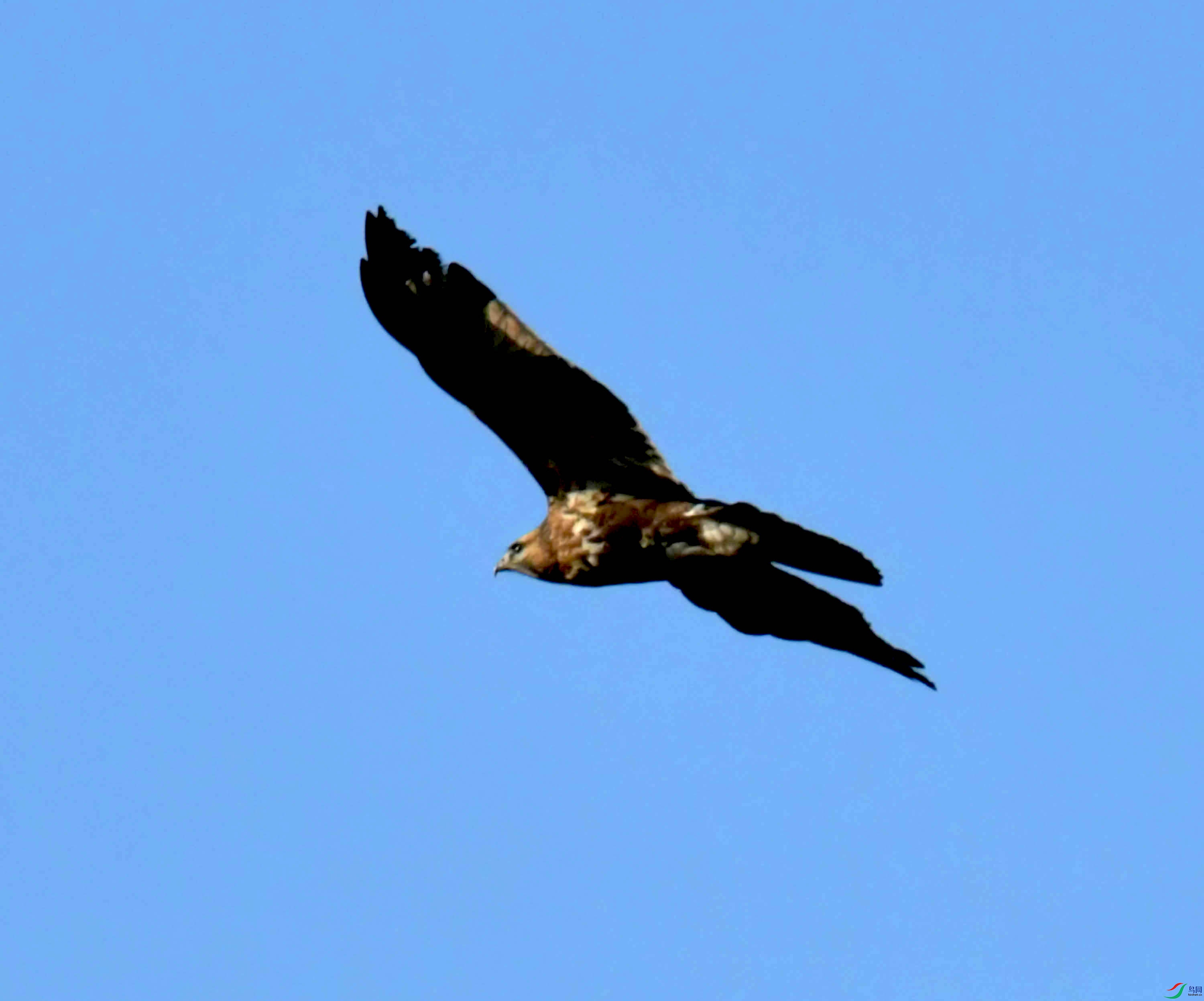 DSC_0730.JPG