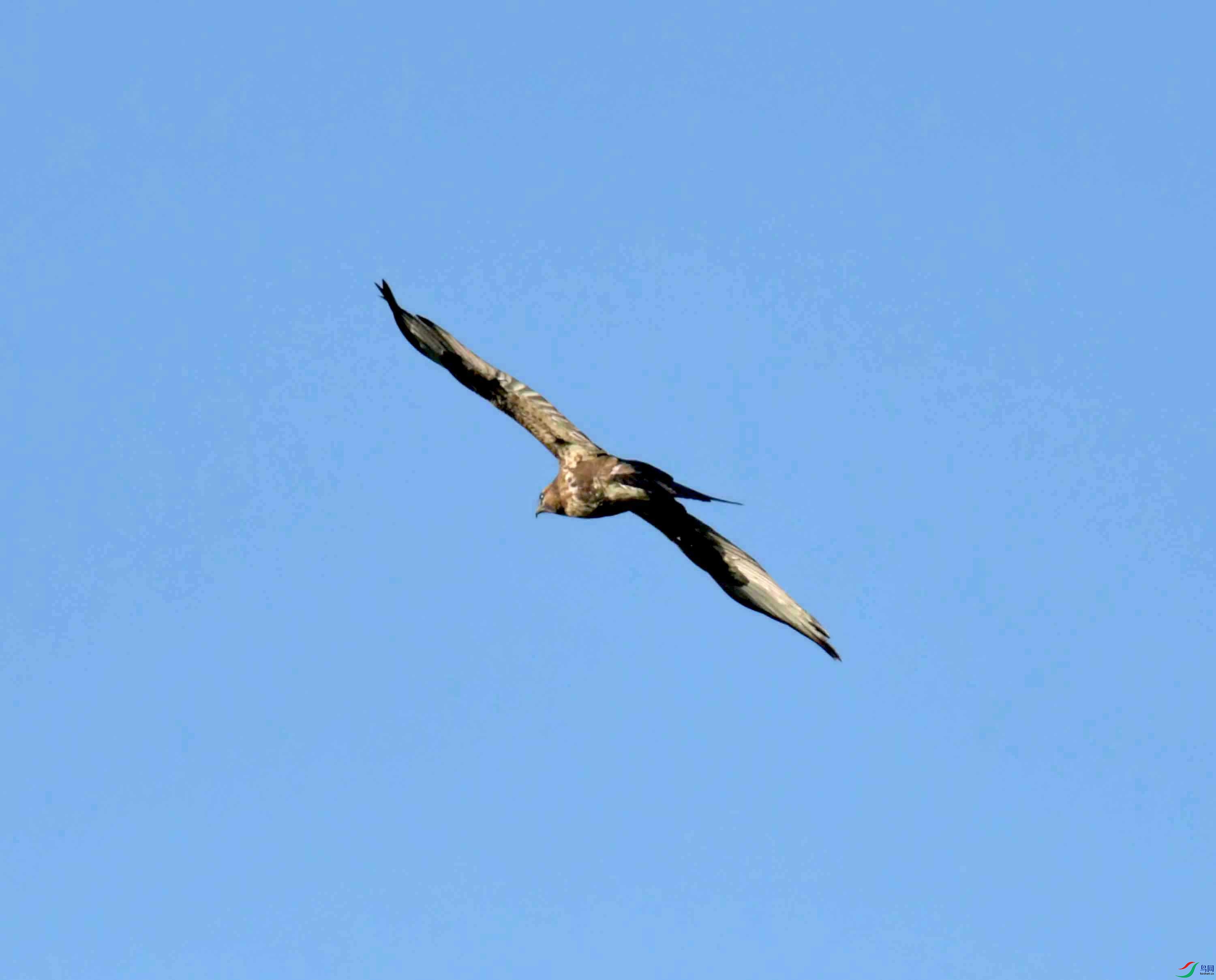 DSC_0732.JPG