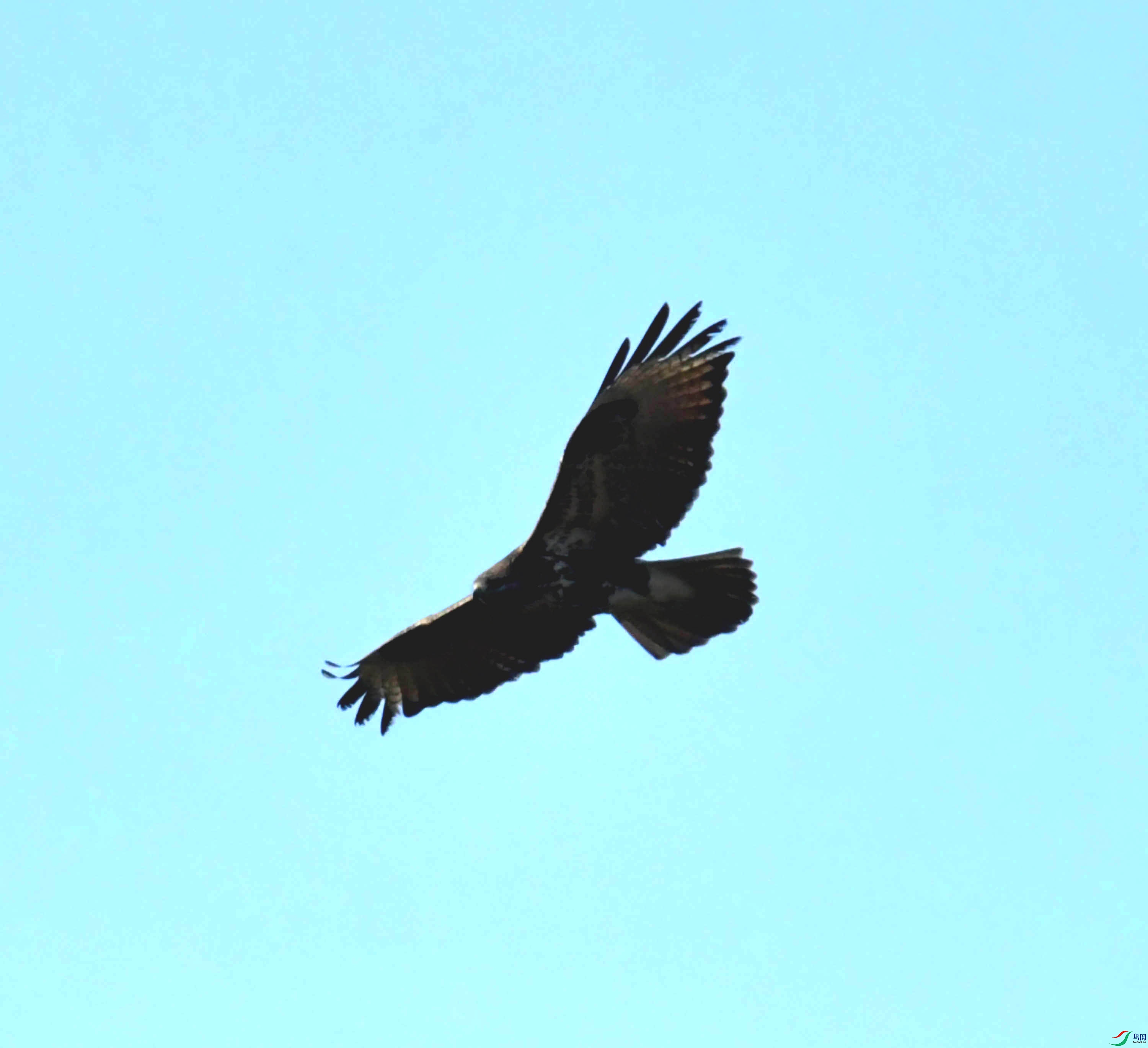DSC_0745.JPG