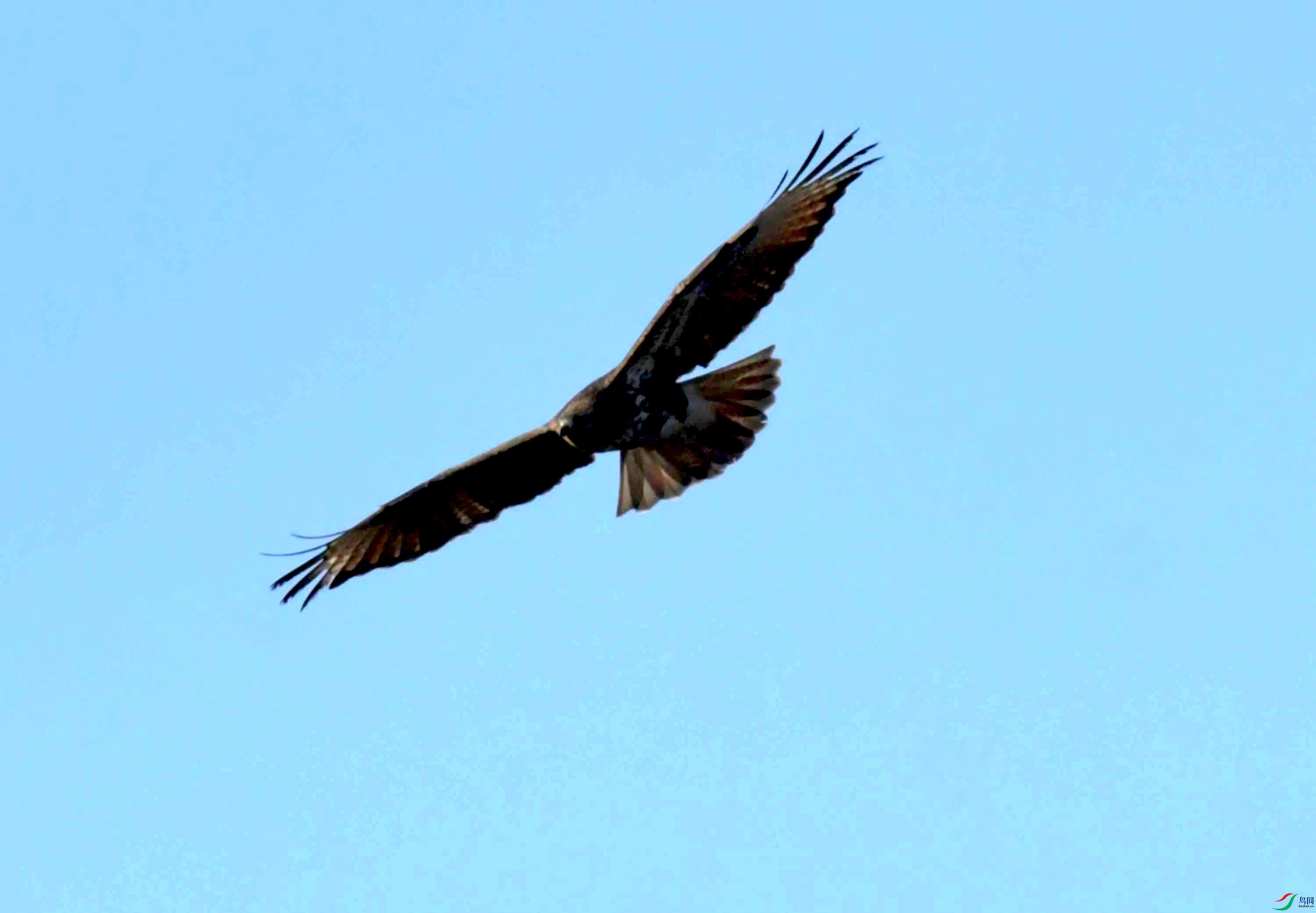 DSC_0742.JPG