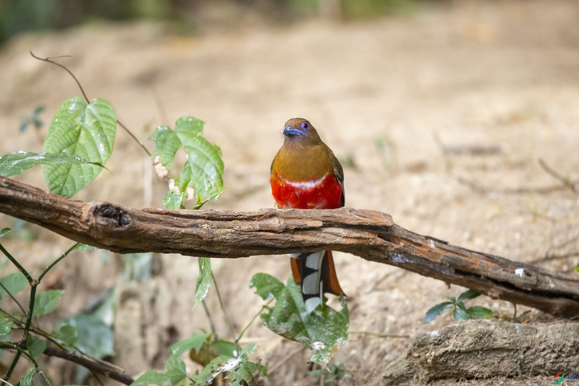 CD0I0306 ����.jpg