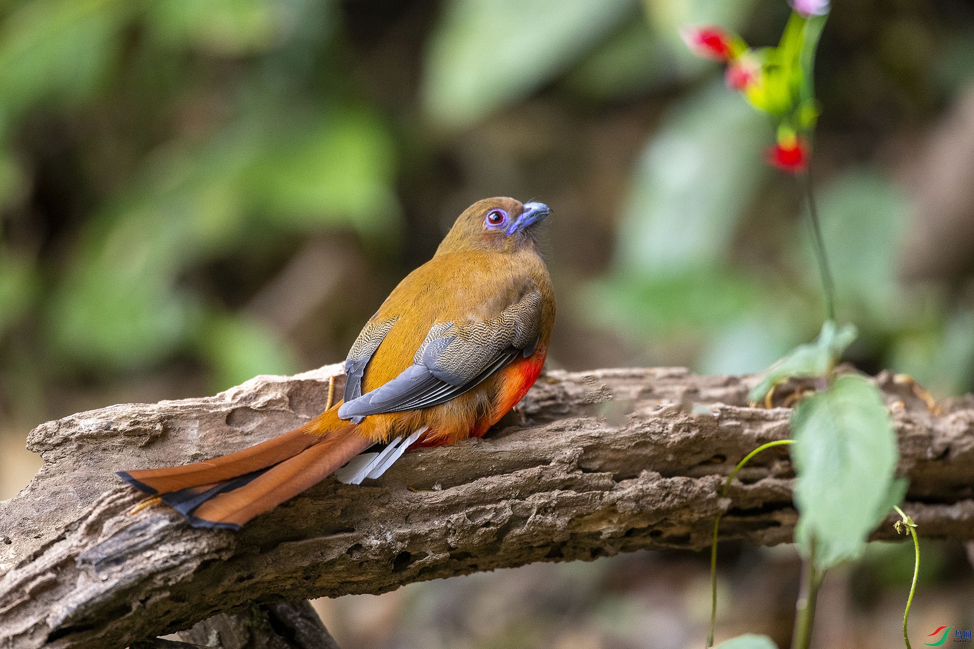 CD0I9527 ����.jpg