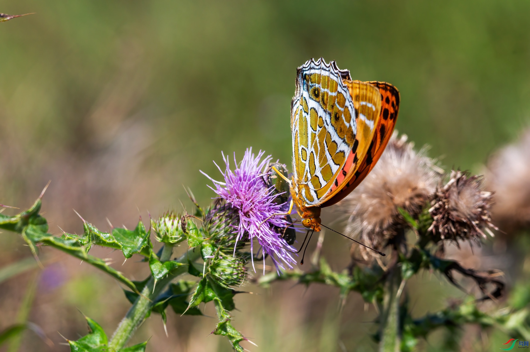 YB0A9282_����.jpg