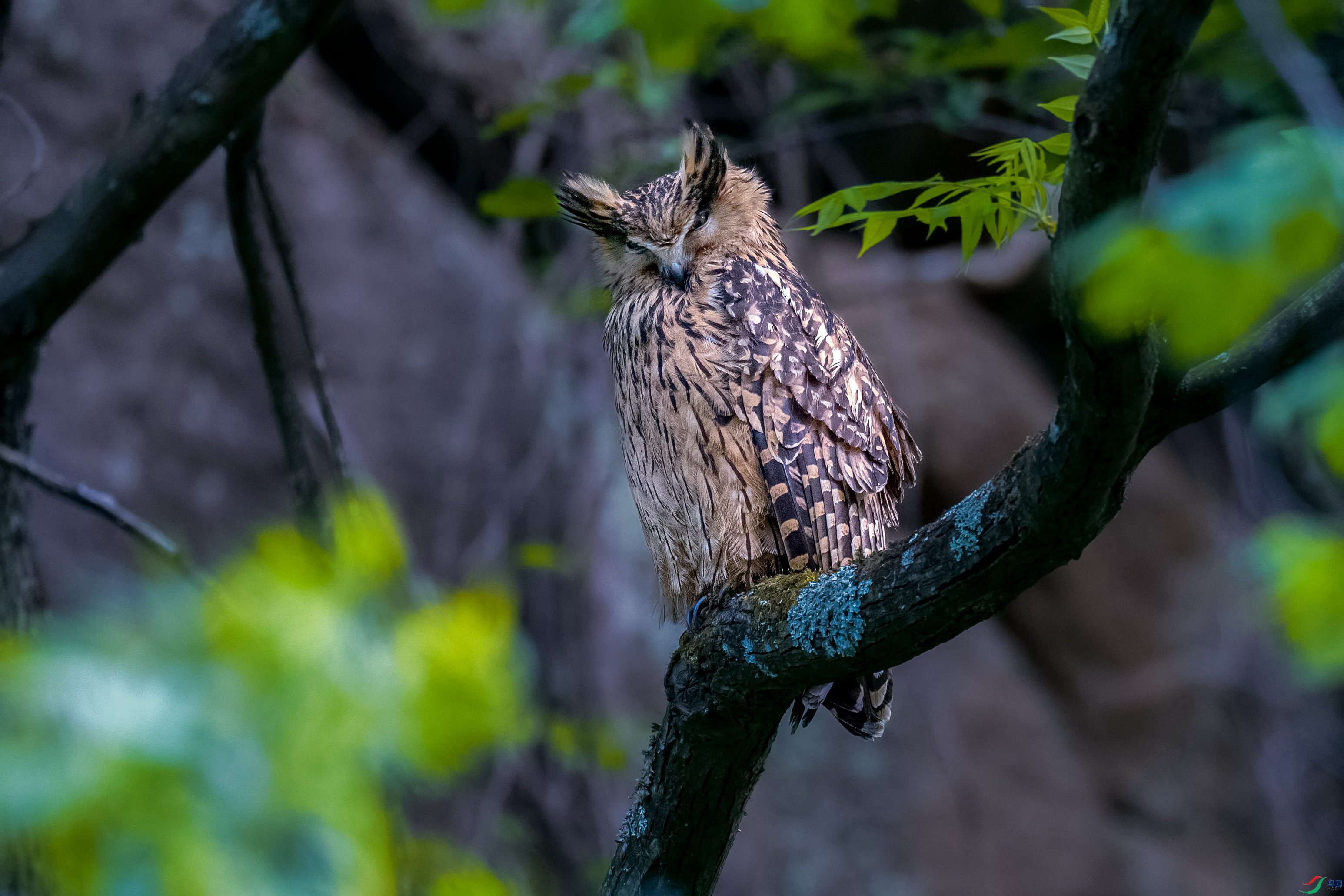 _DSC2288 ����-1M.jpg