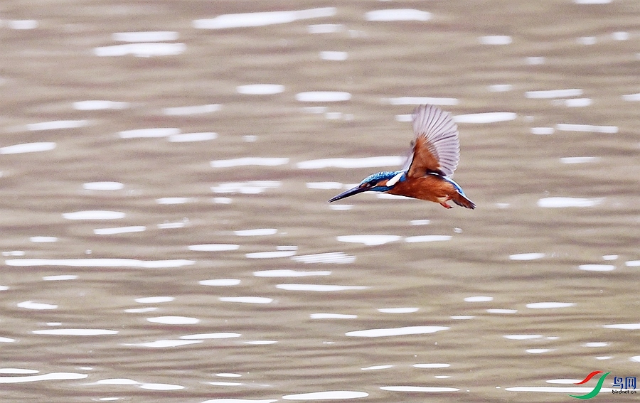 DSC_8629.JPG