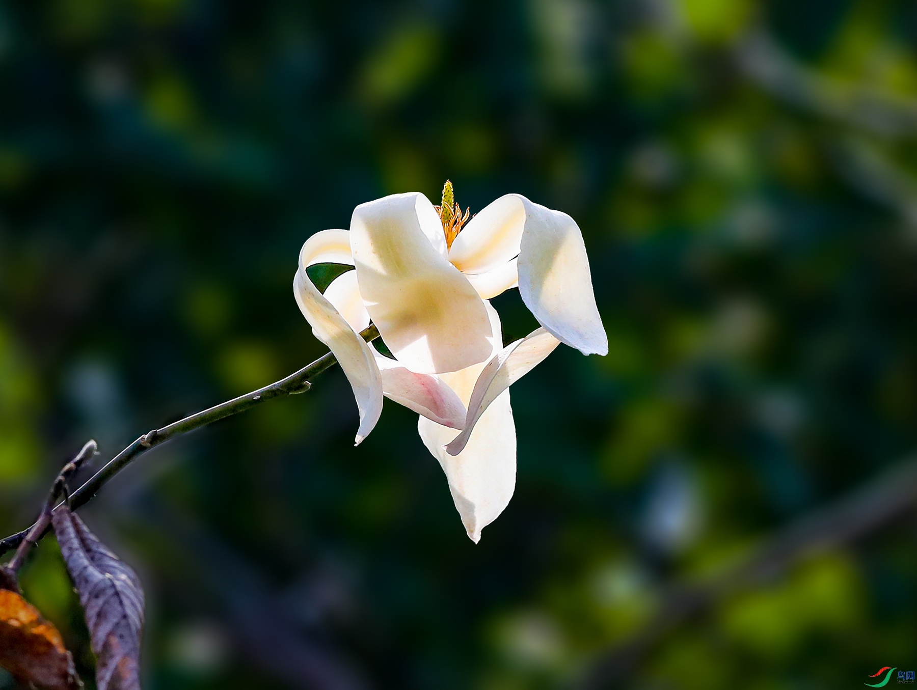 00000IMG_0417 ����1000k.jpg