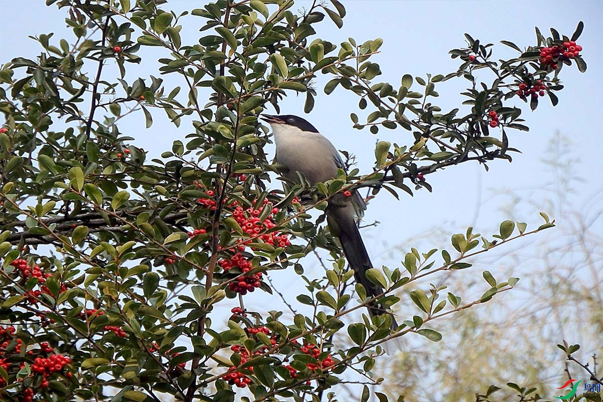 IMG_0002.jpg
