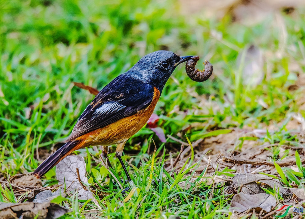 DSC_7078.jpg