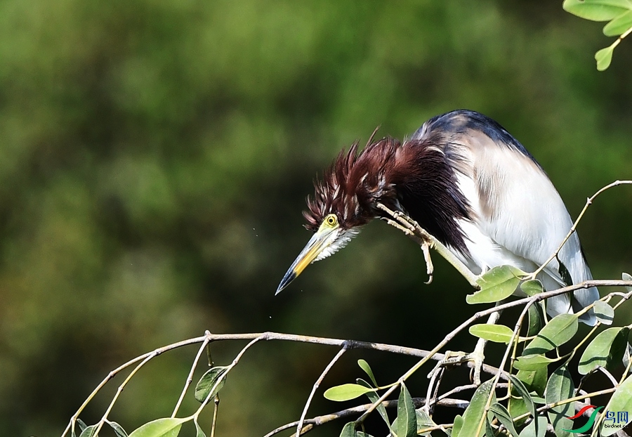 DSC_2235.JPG