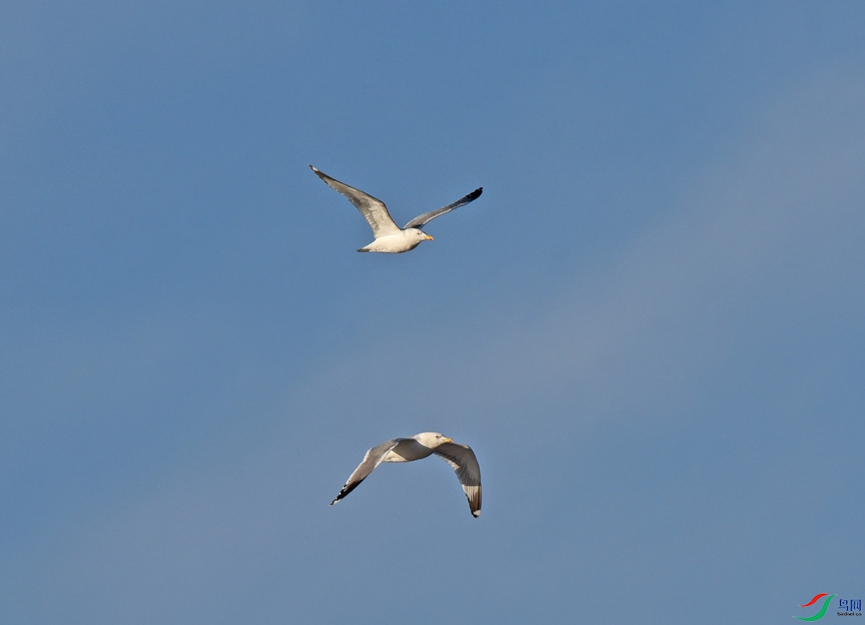DSC_6169f_��ͼ��.jpg