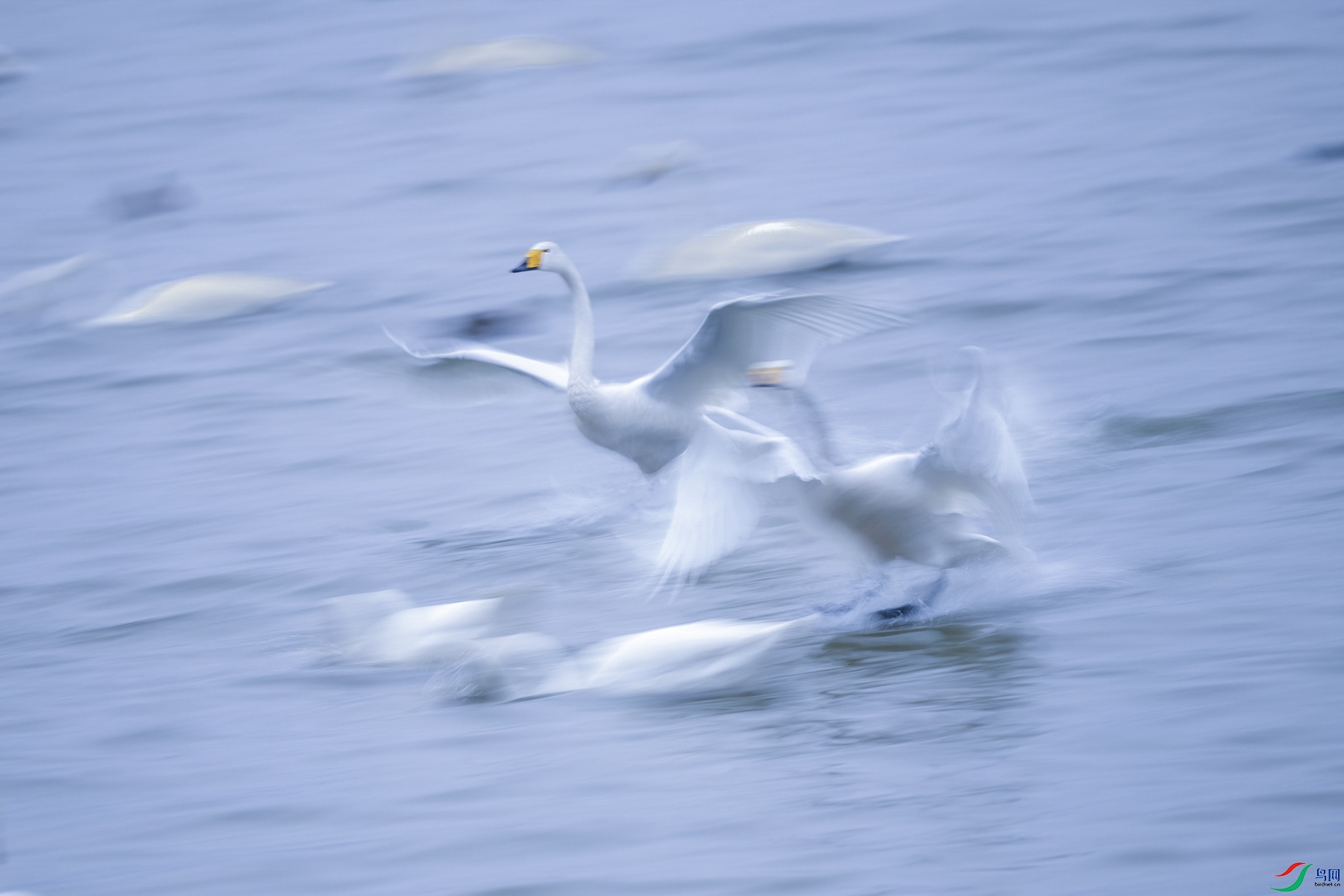 _DSC7595  .jpg