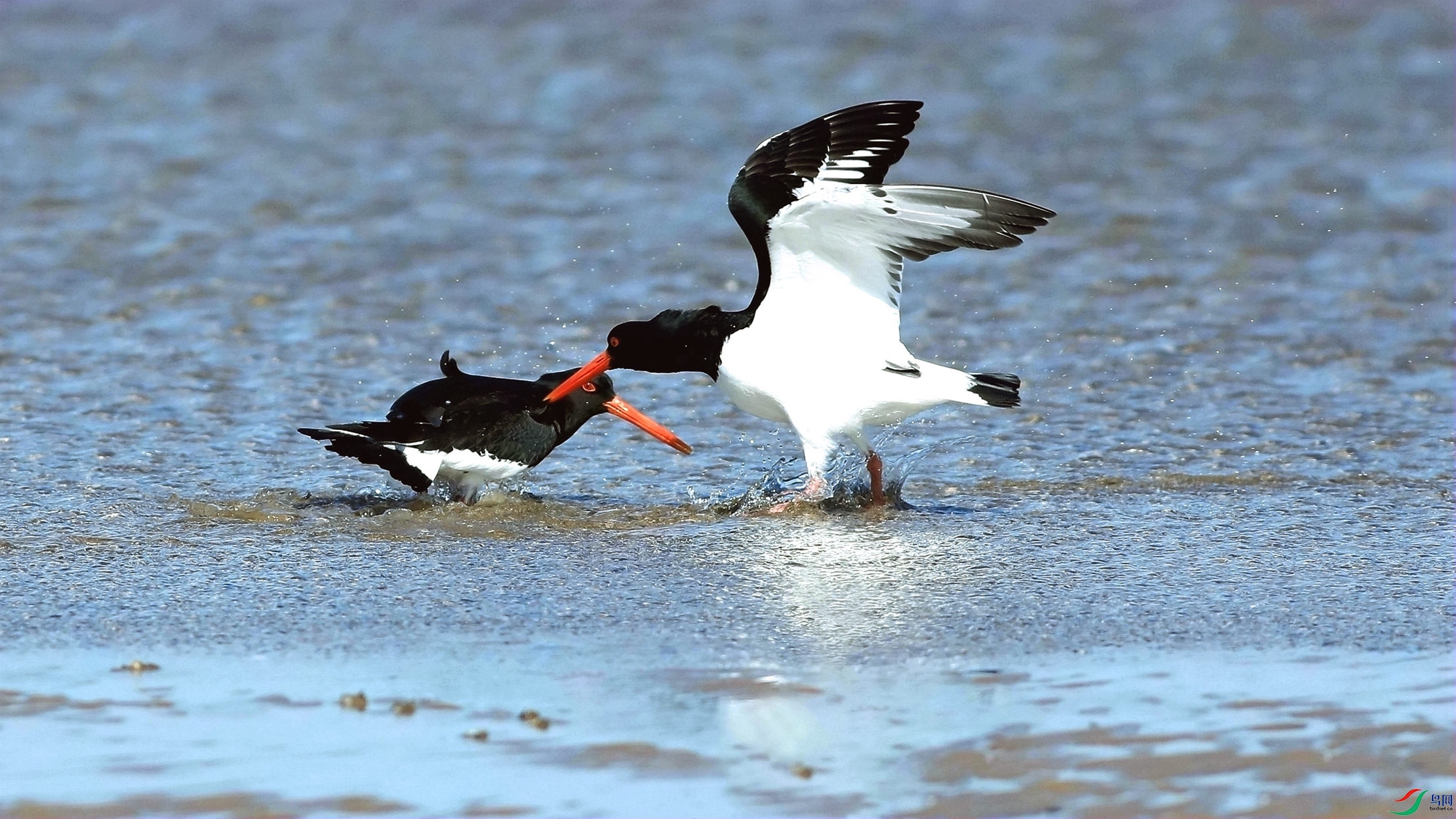 ����һ��