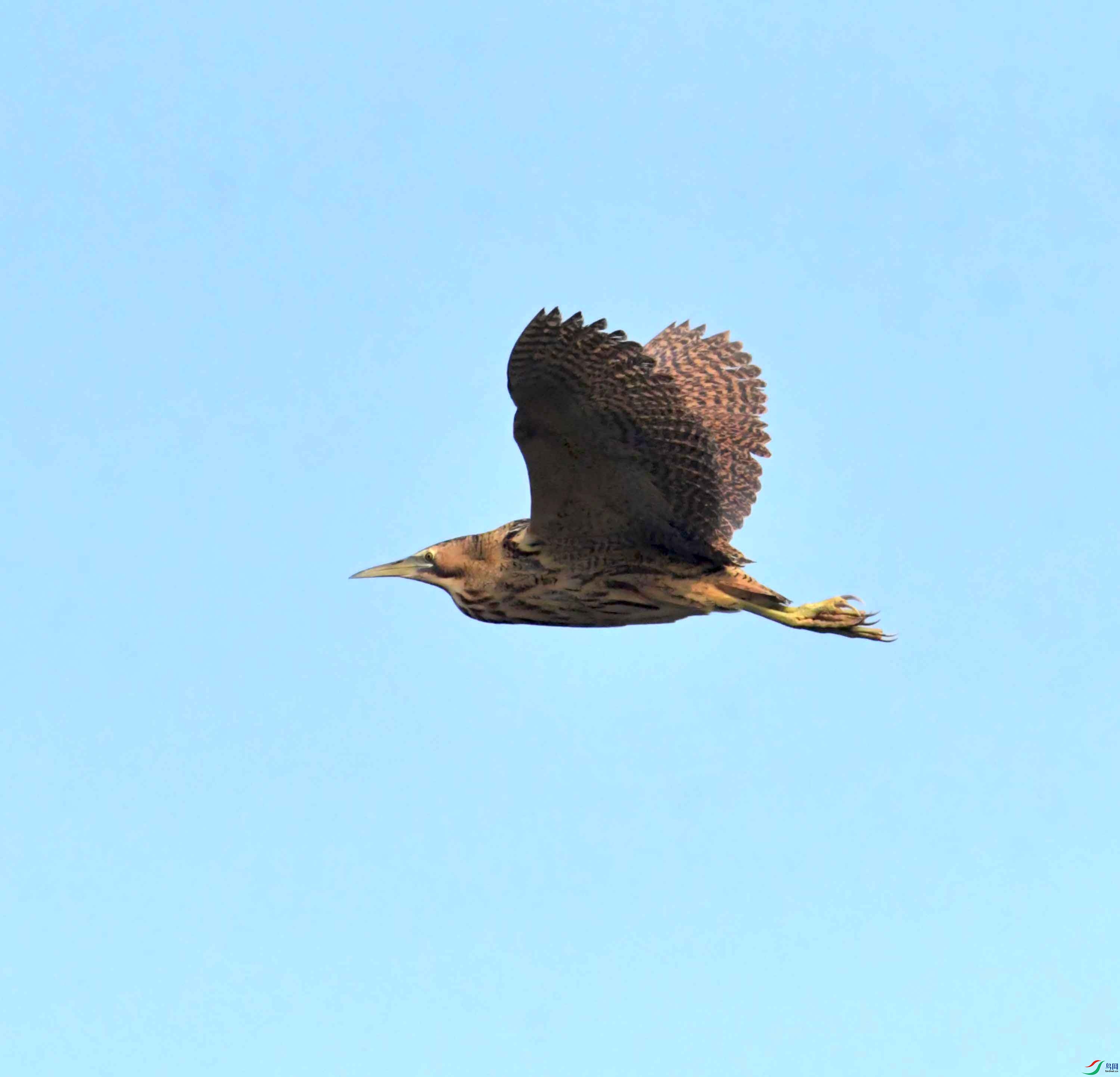 DSC_0235.JPG