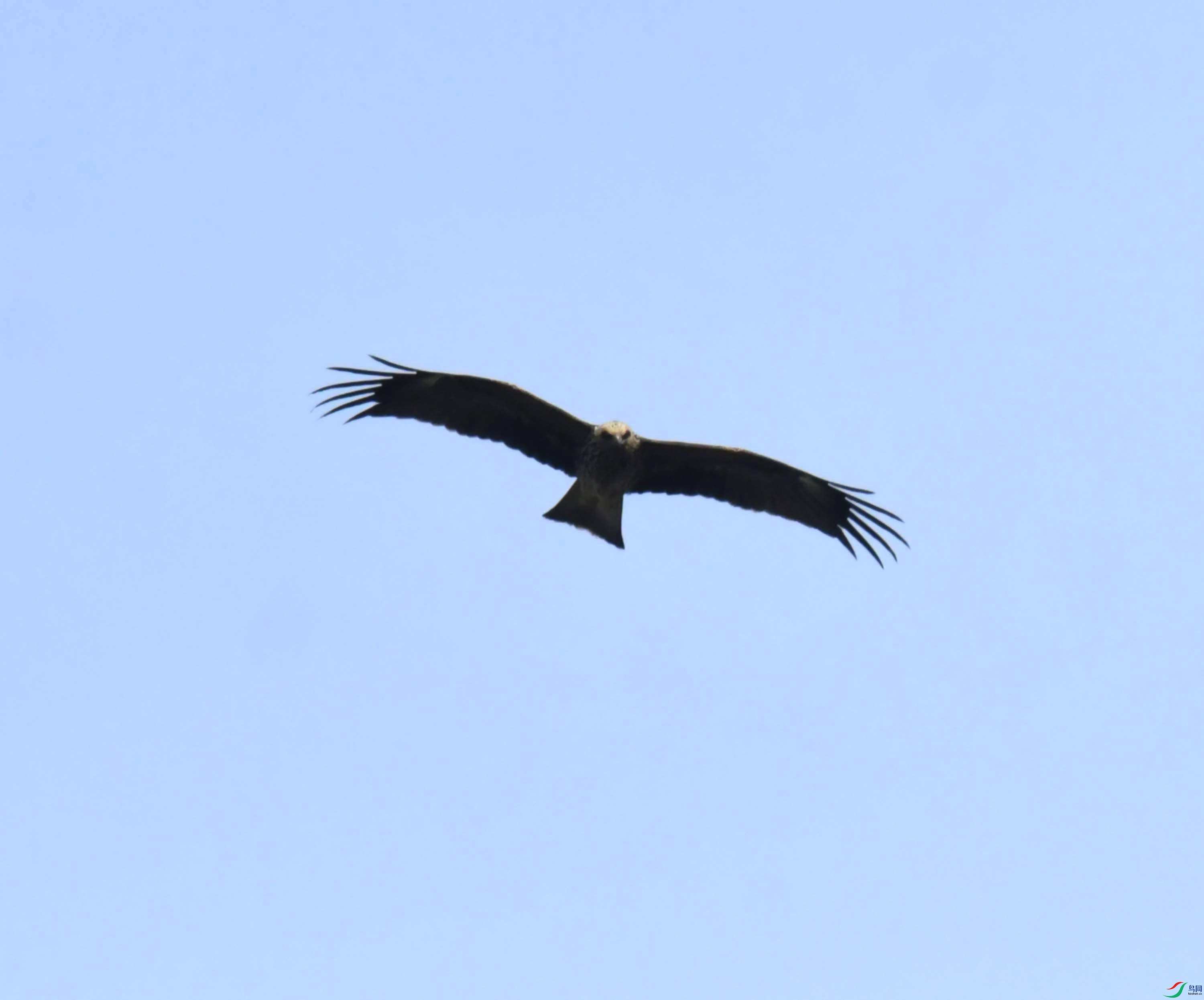 DSC_0467.JPG