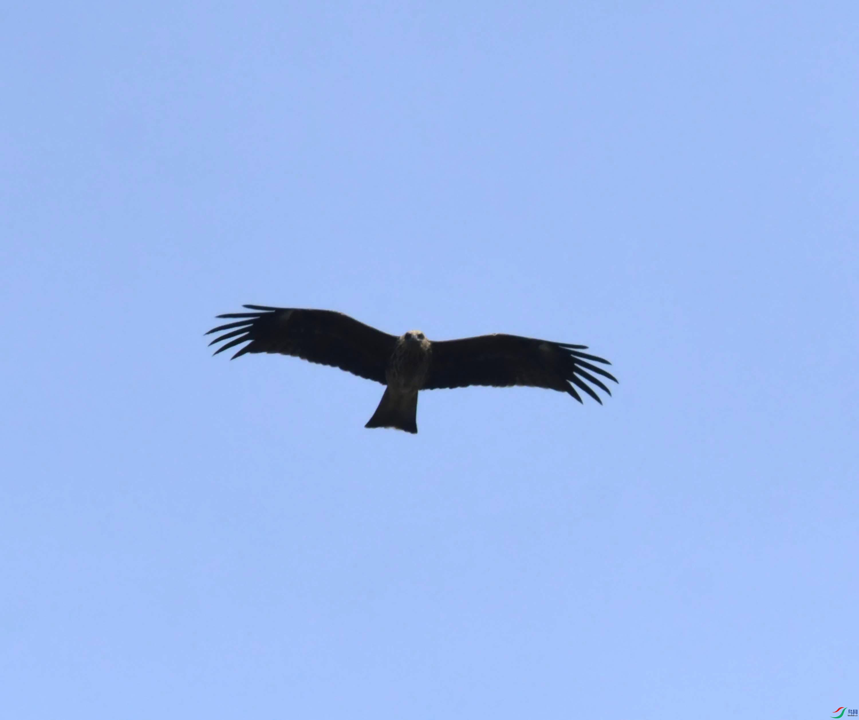 DSC_0472.JPG