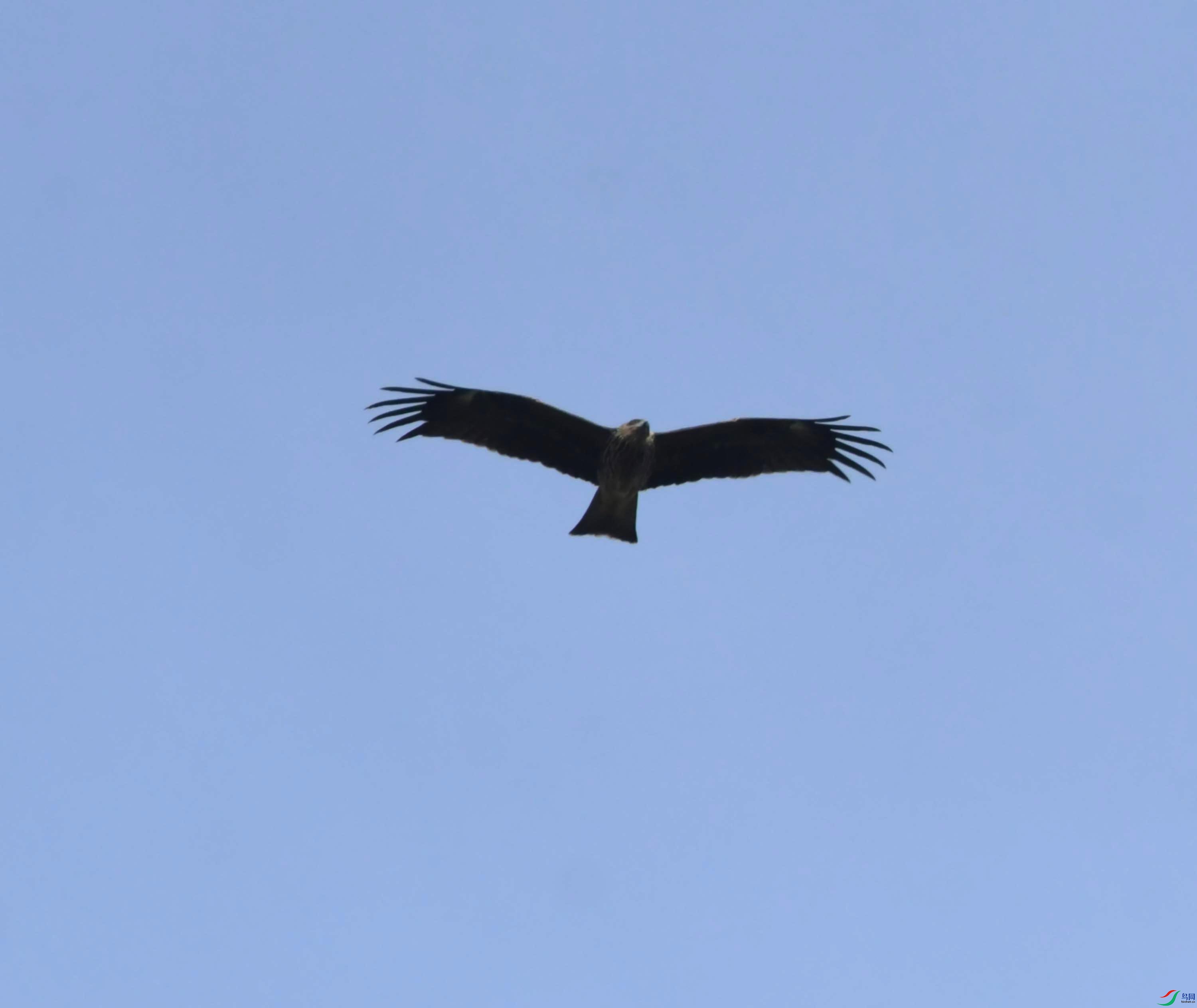 DSC_0470.JPG