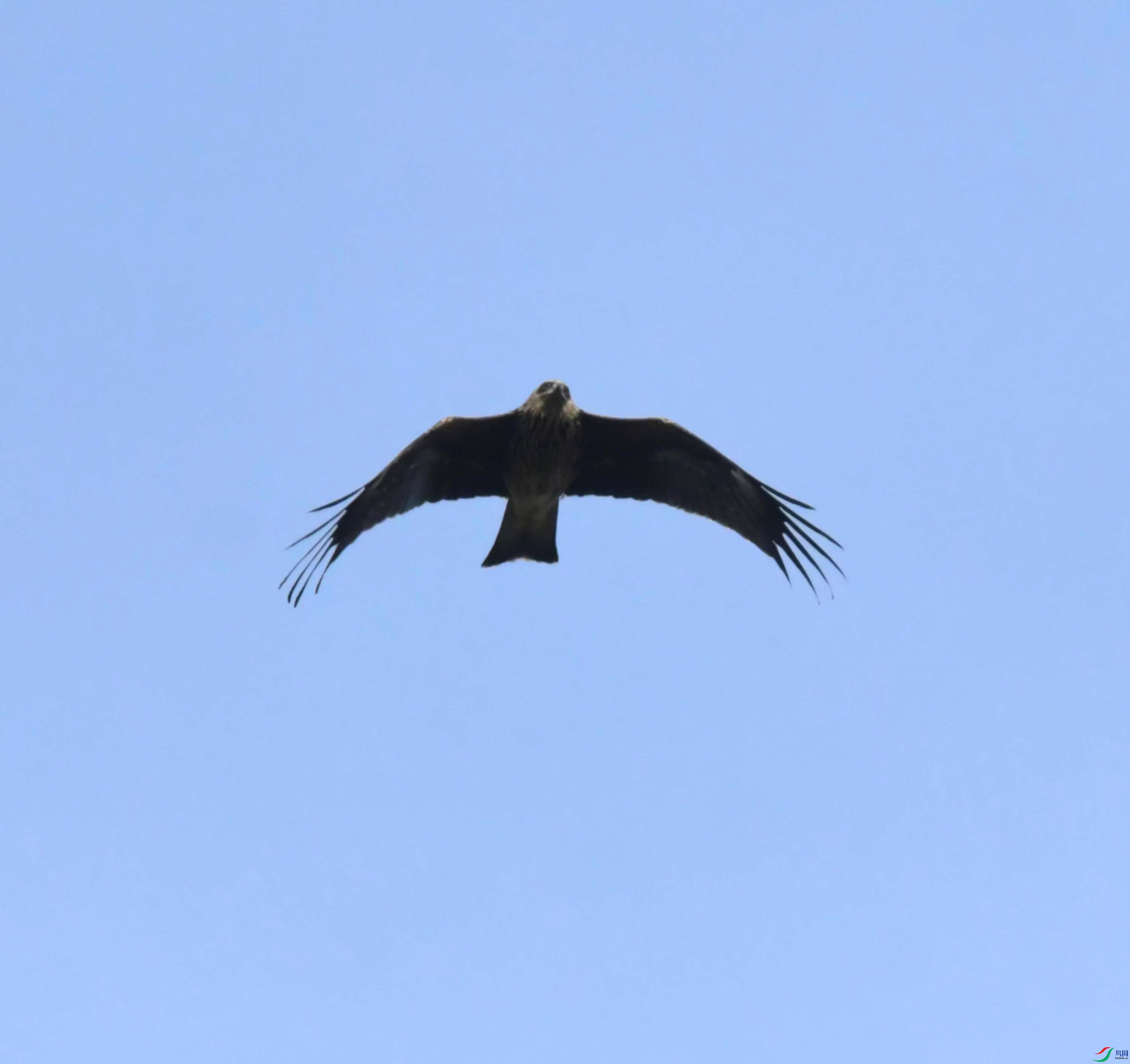 DSC_0475.JPG