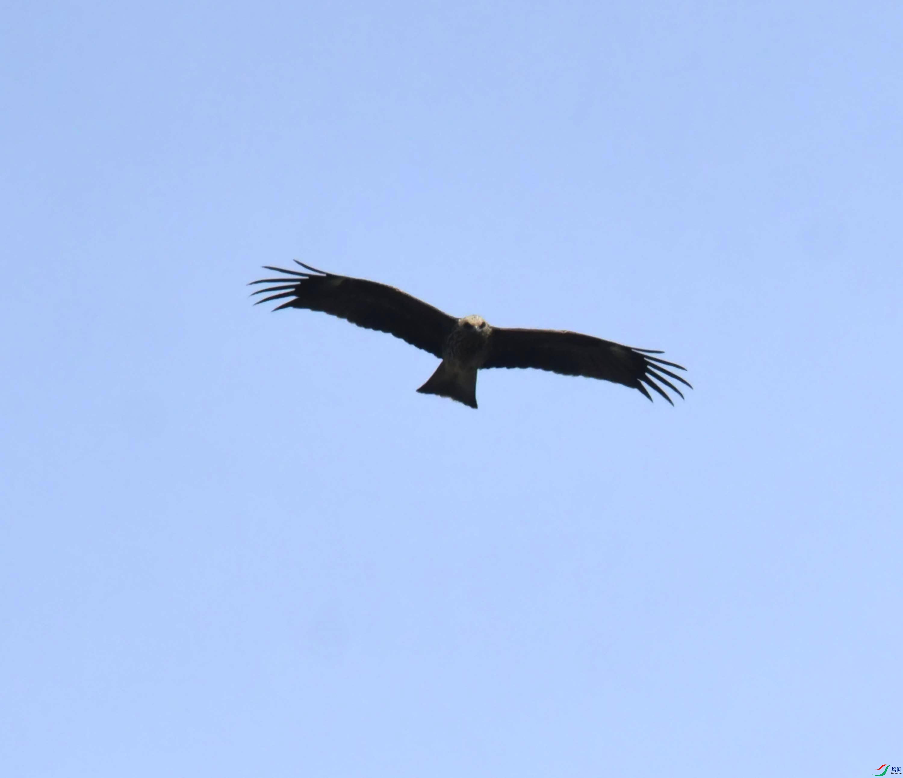 DSC_0469.JPG