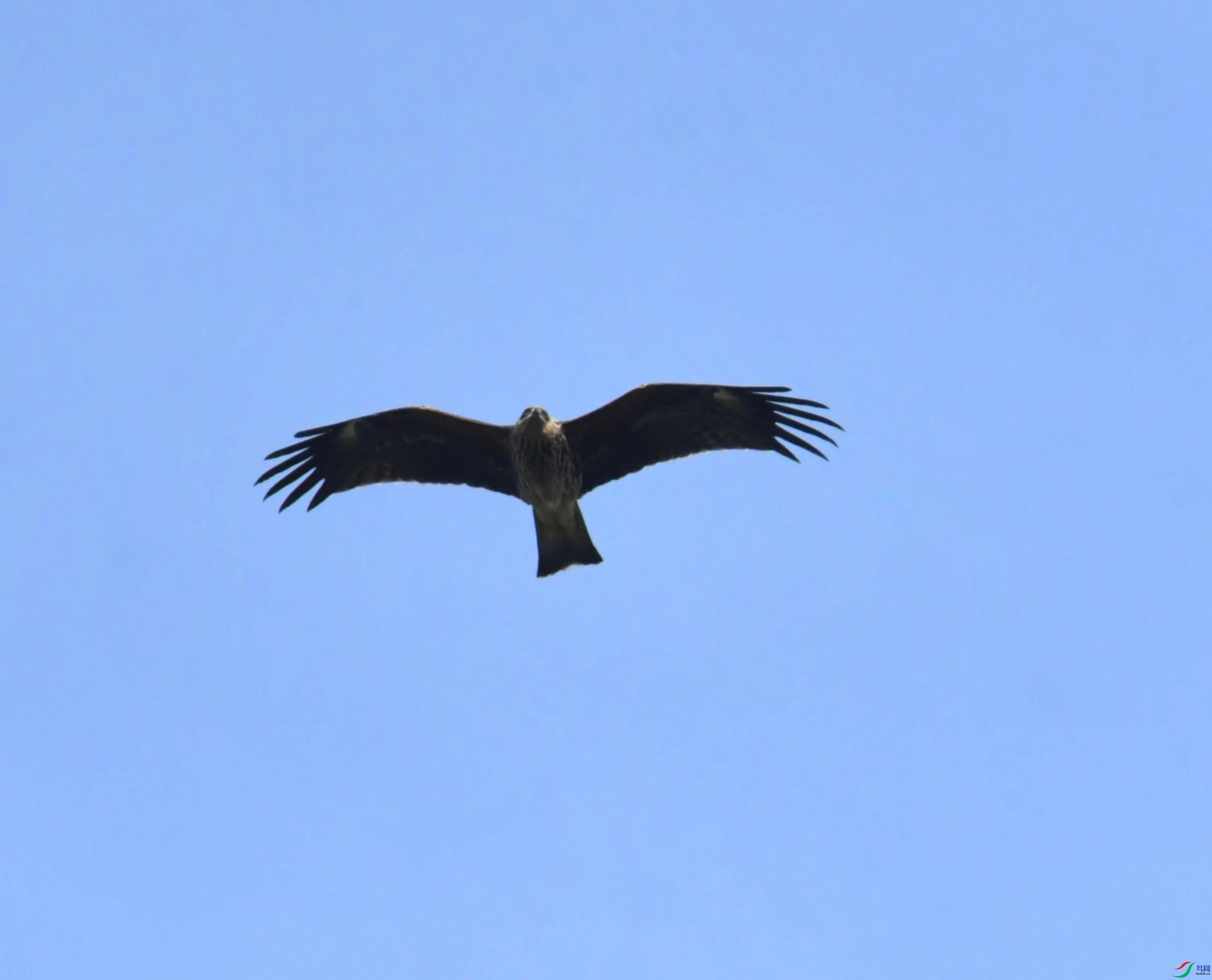 DSC_0481.JPG