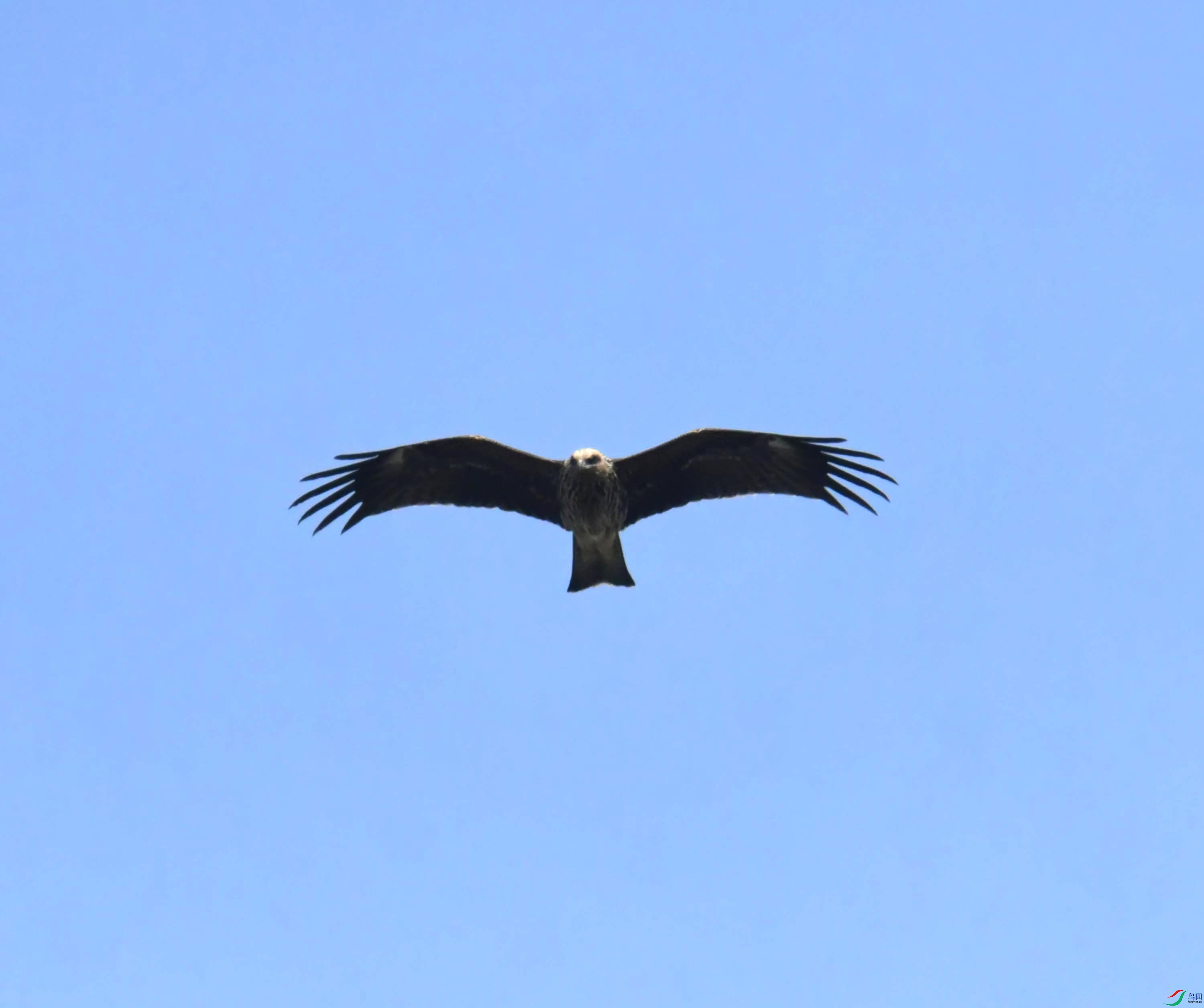 DSC_0479.JPG