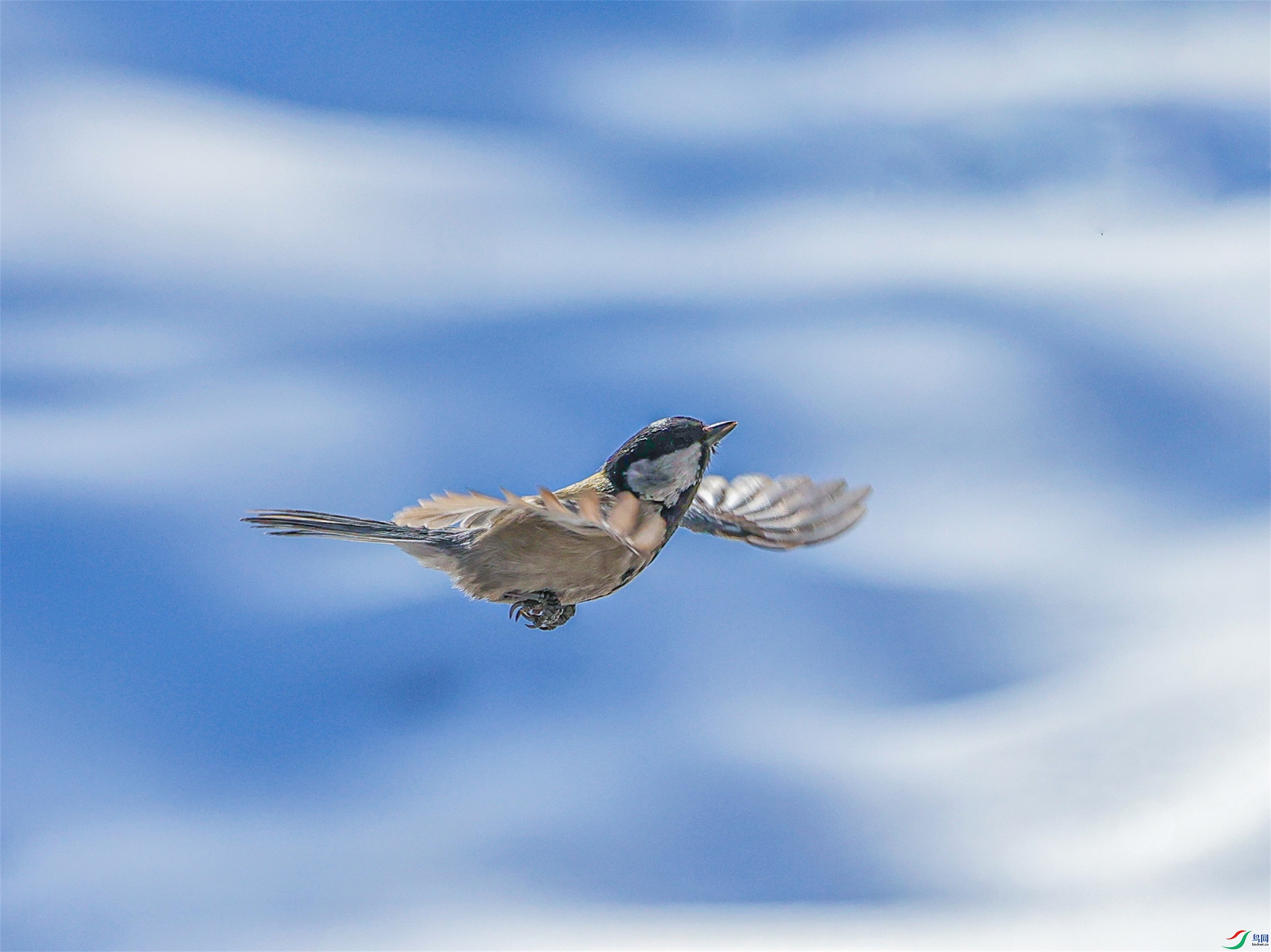 1K3A7570 ����1.jpg