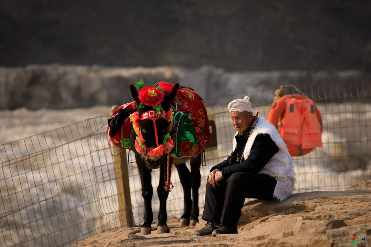 106A0445 ����.jpg