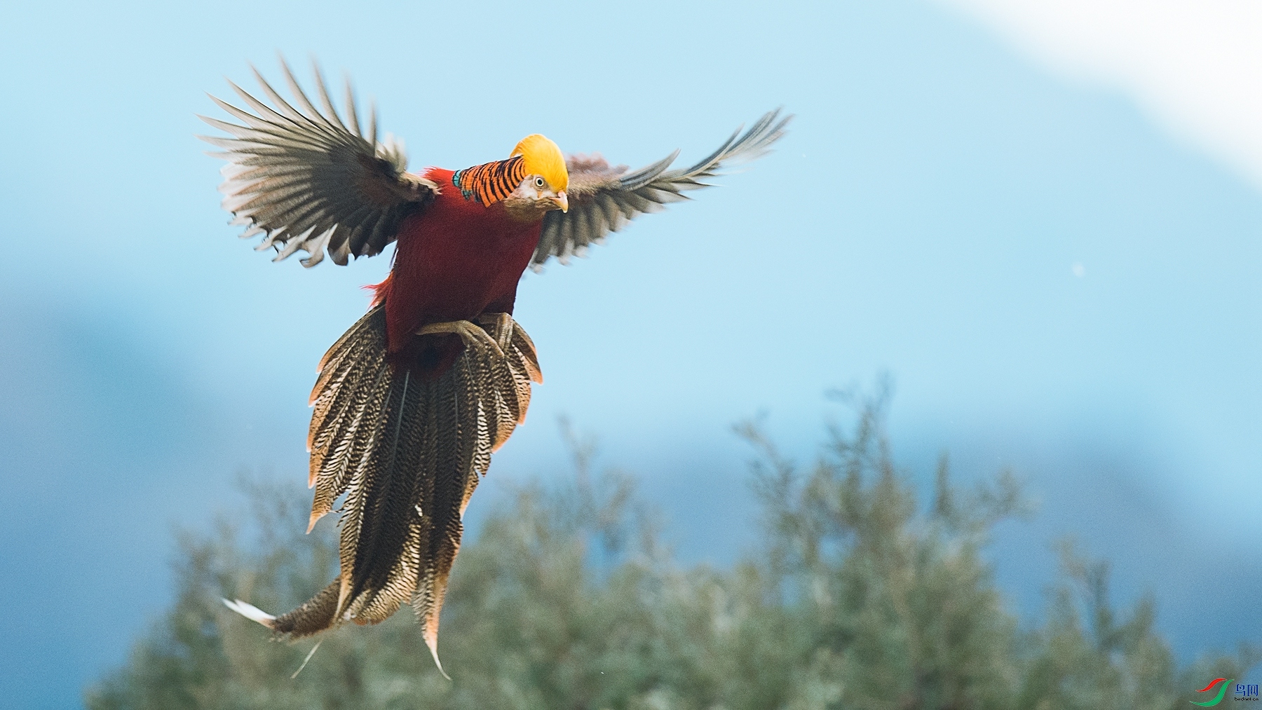 DSC_9024 - ����.jpg