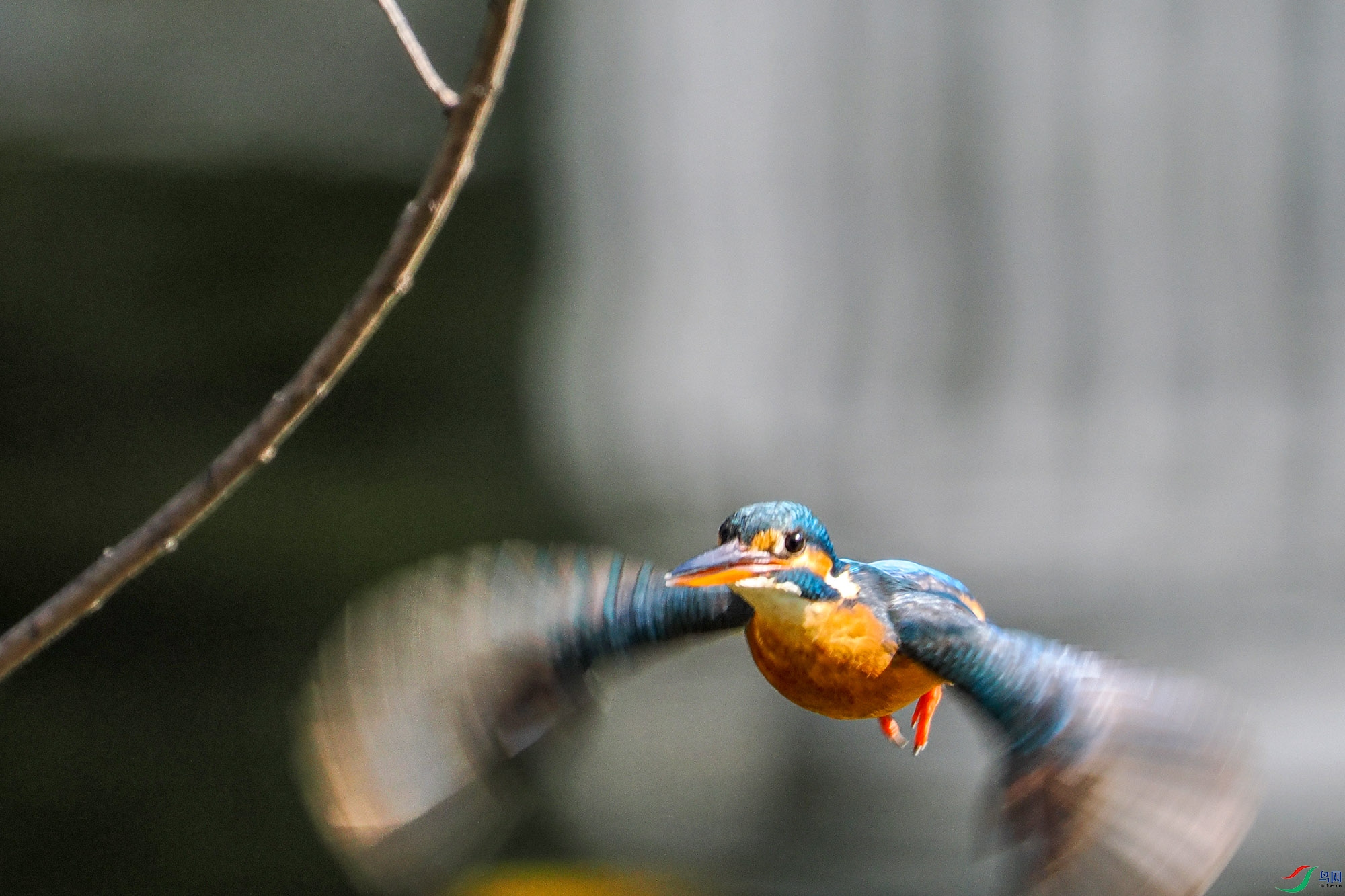 P1303710 ����.jpg