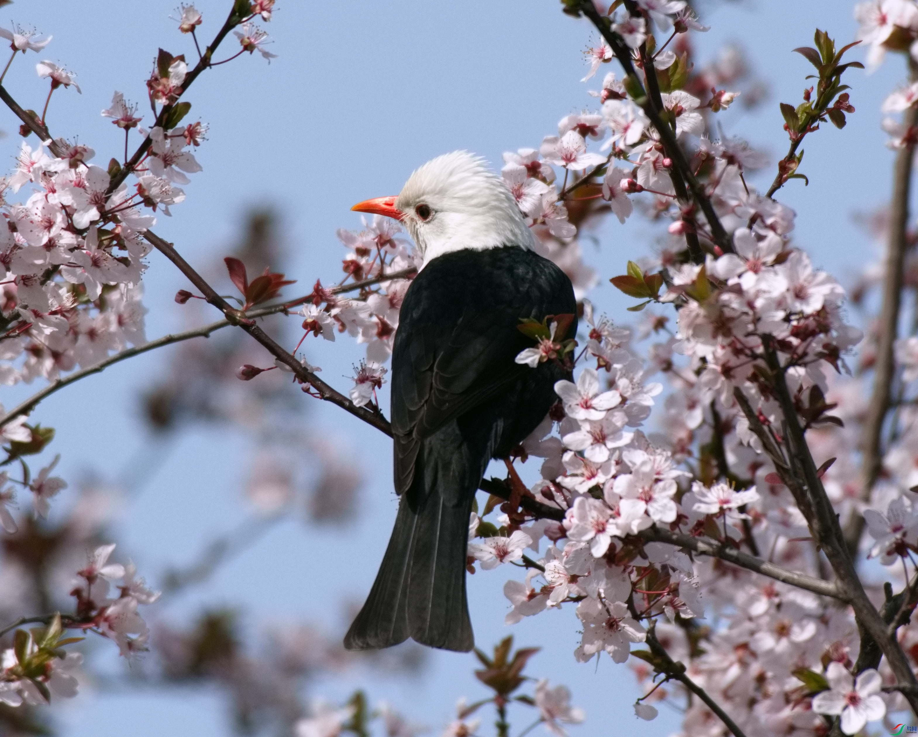 DSC_2664.jpg