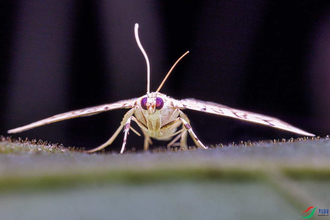 92022092504-4.jpg