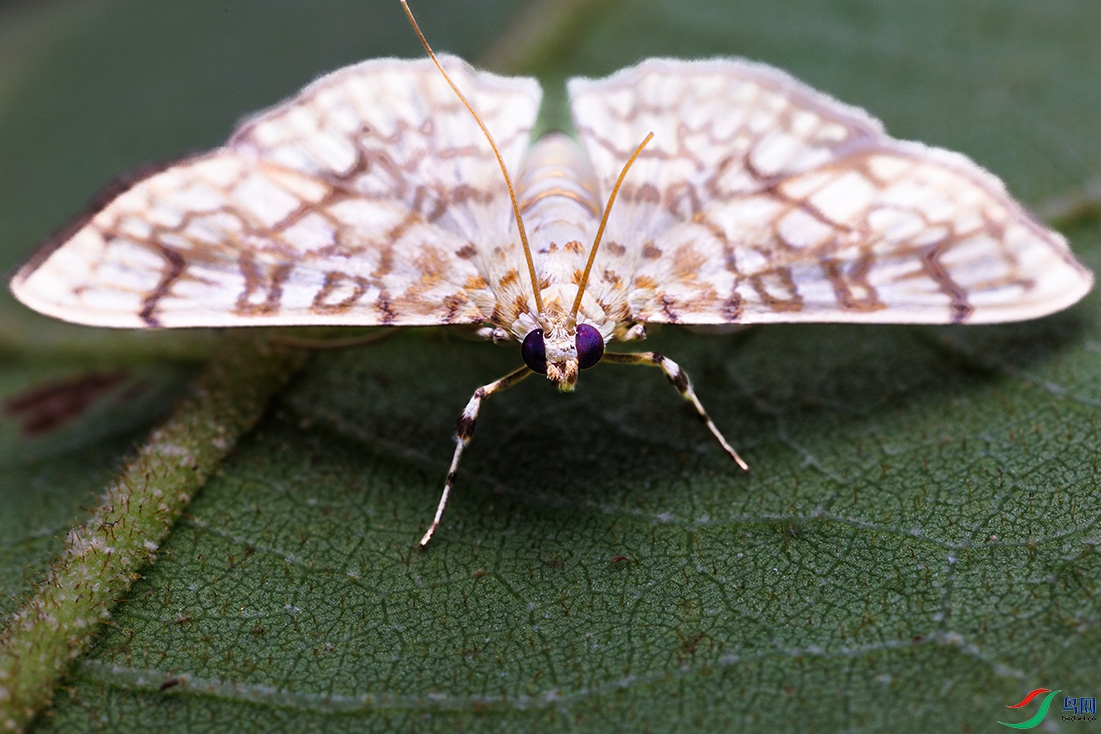 92022092503-3.jpg