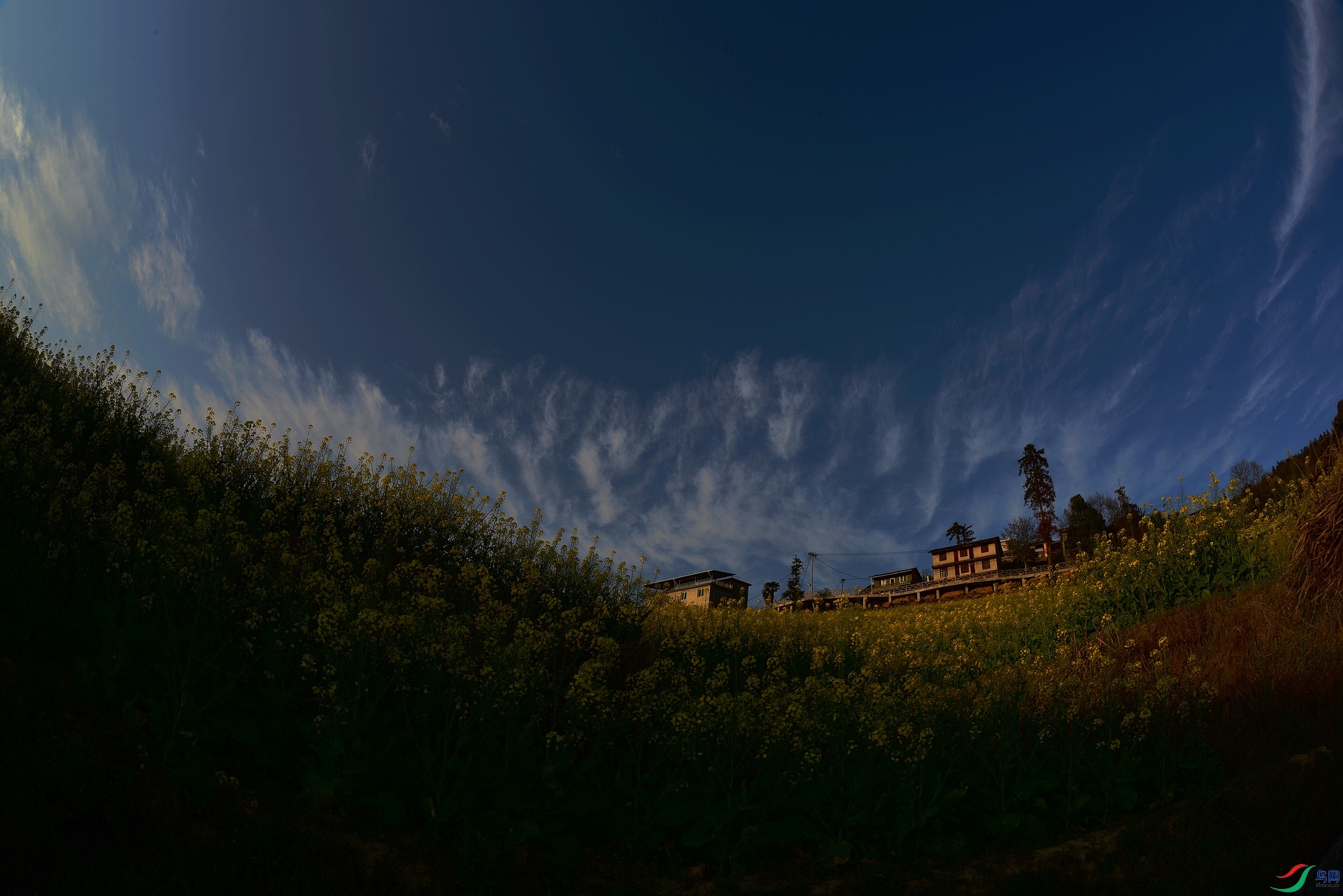 D8I_9931.jpg