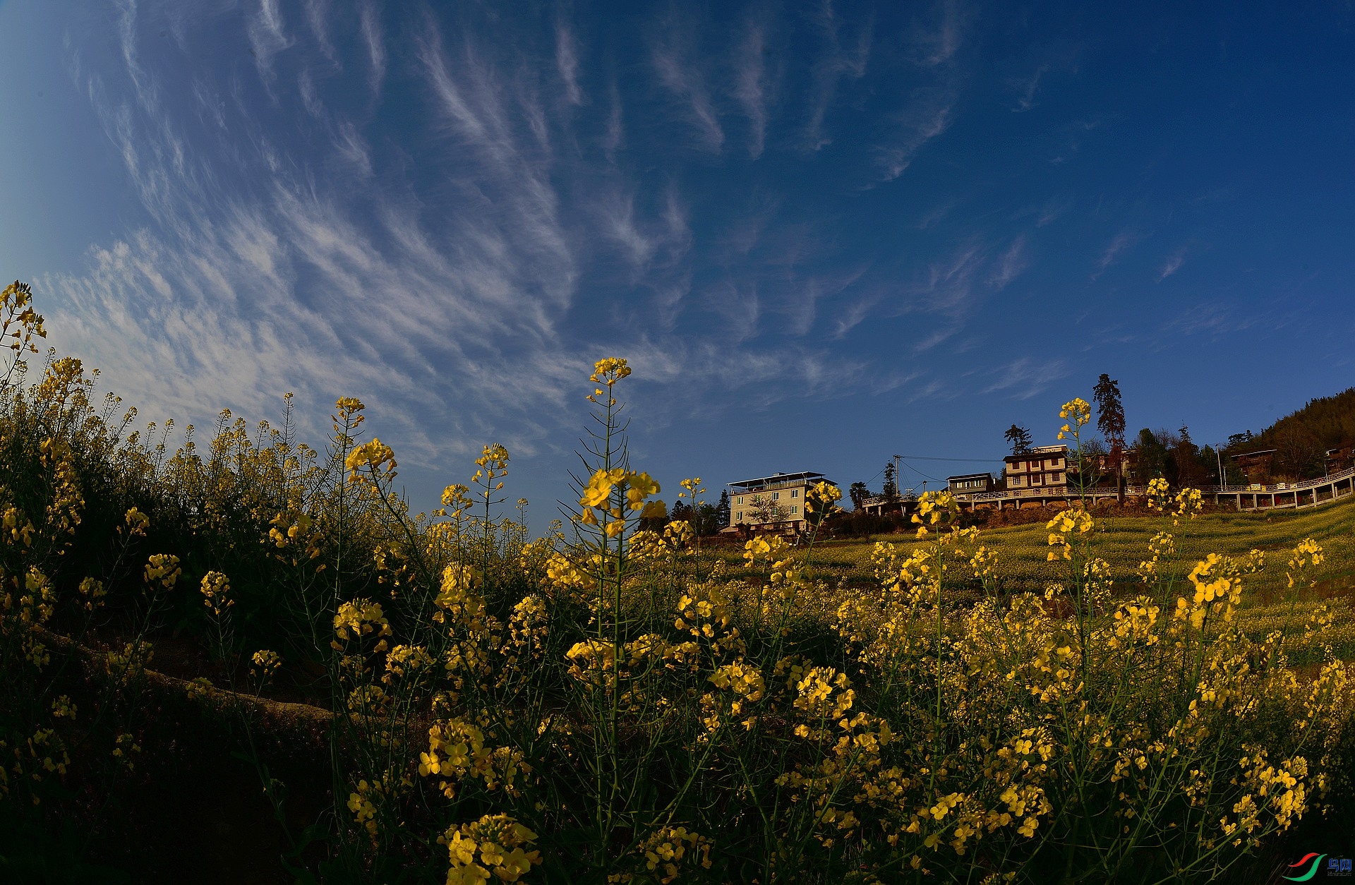 D8I_9905.jpg