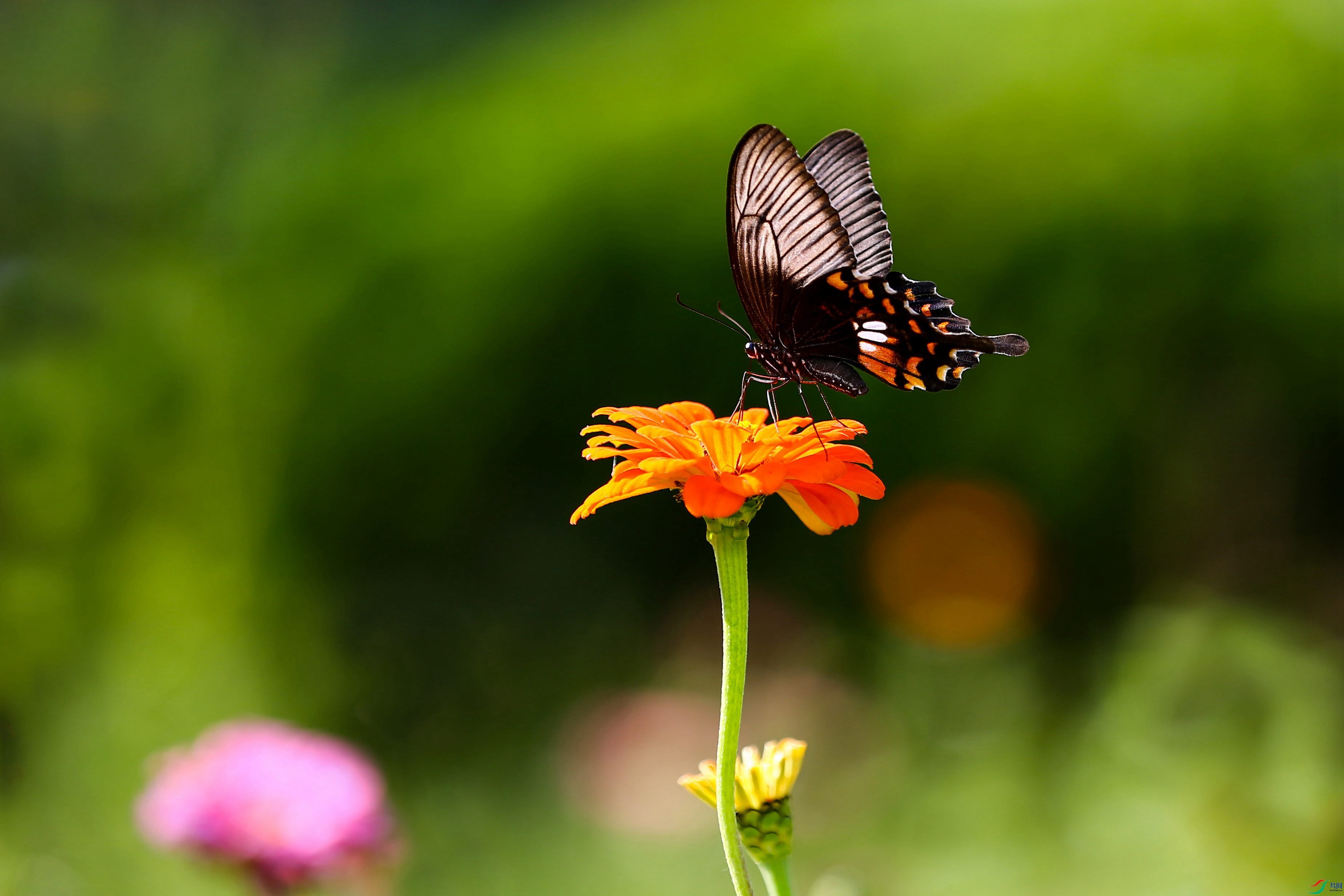 Ҳ�ĵ�����