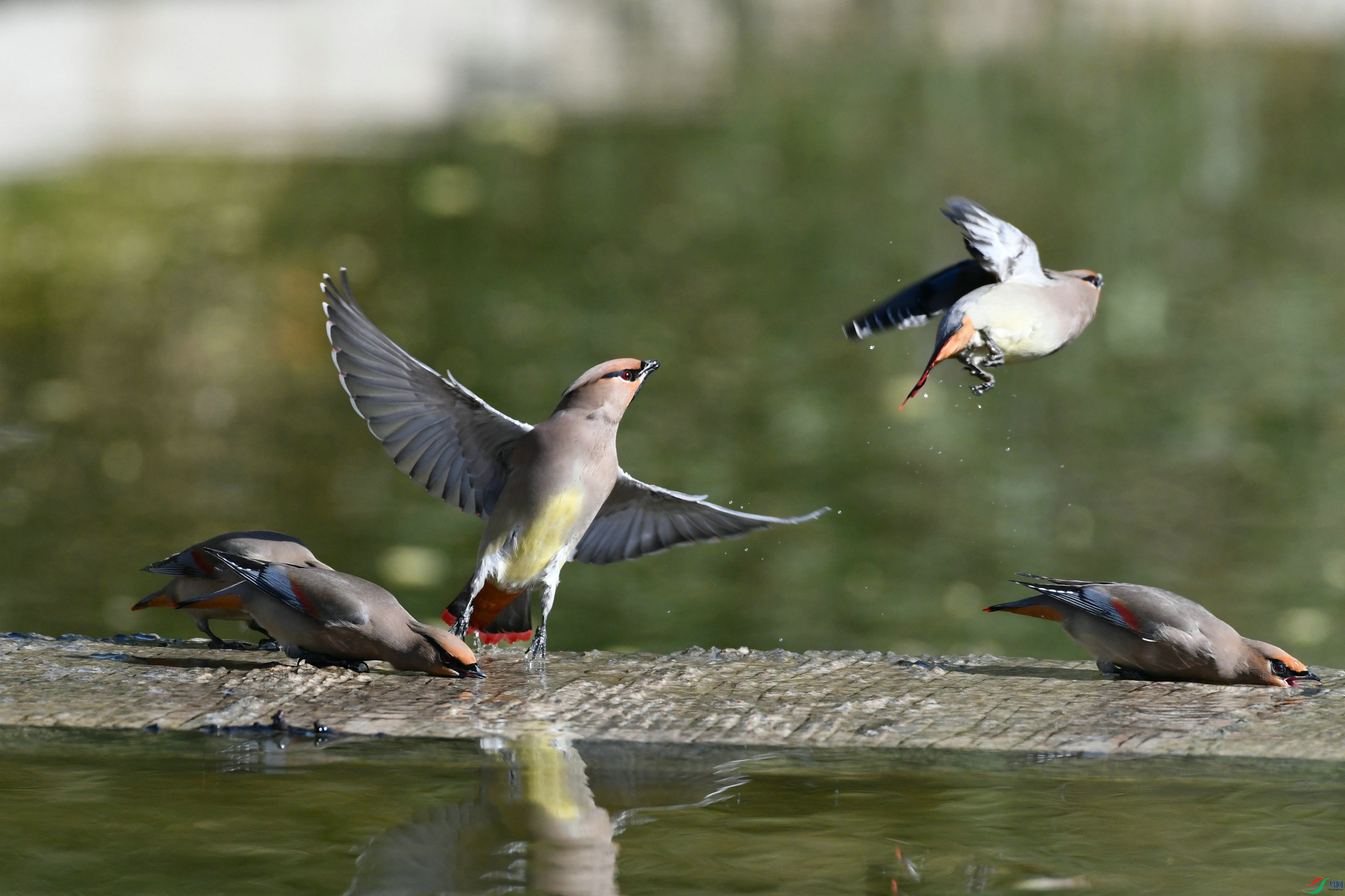 DSC_6324.JPG