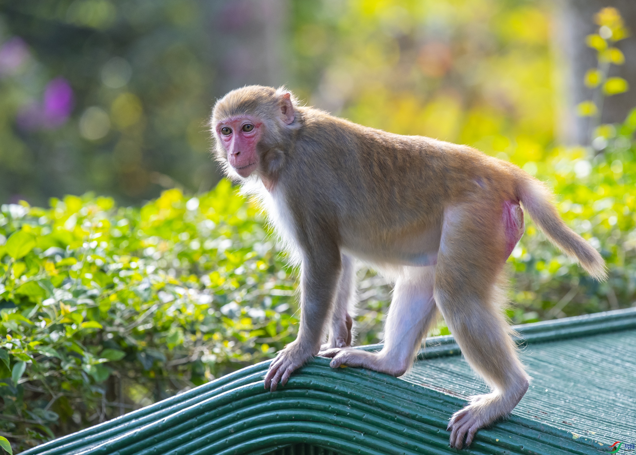 4864 ����.jpg