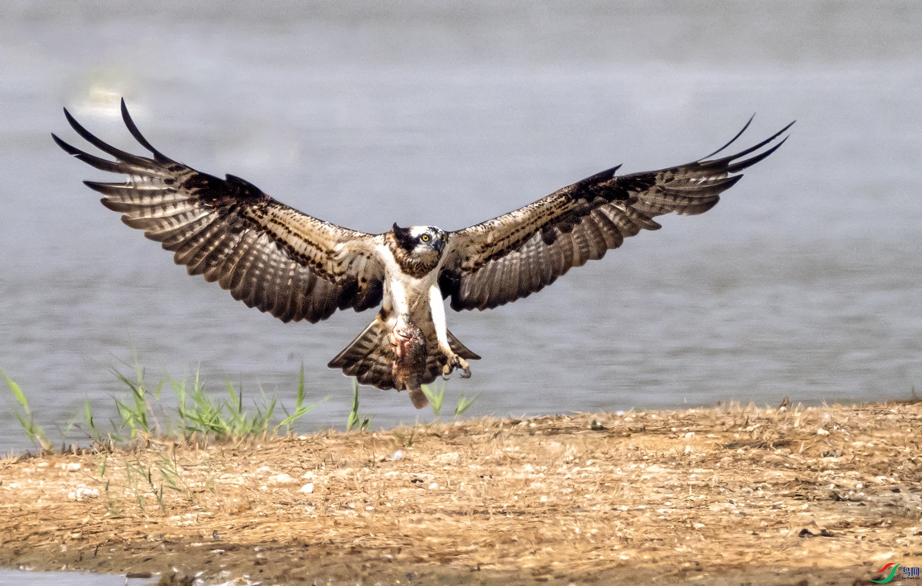 ��DSC_2428.jpg
