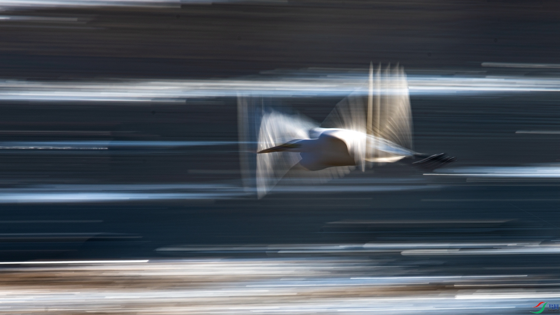_DSC0661_����.jpg