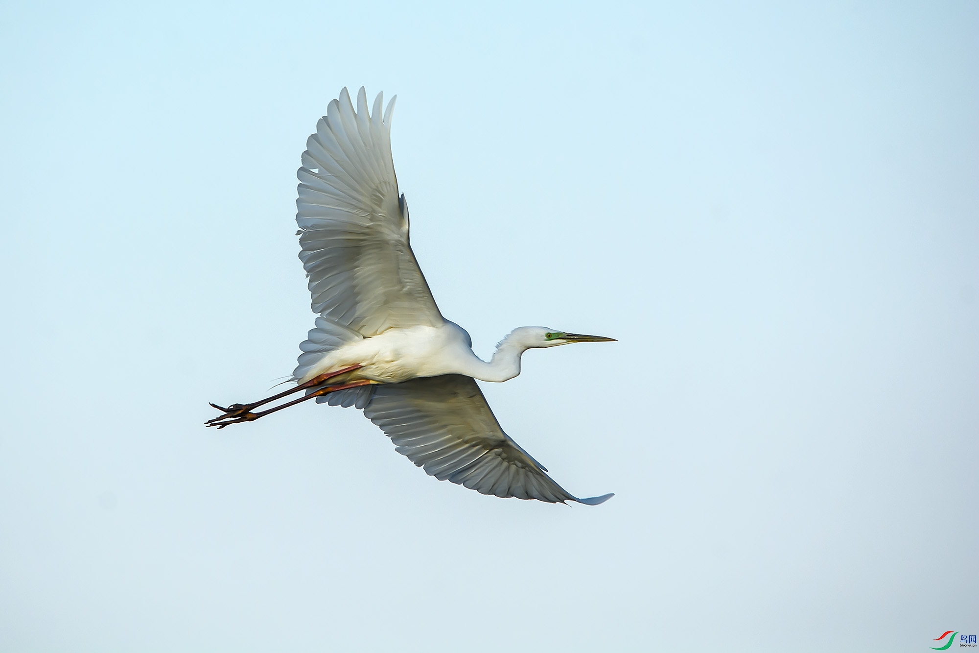 hn2018.03.27DSC_9324.jpg