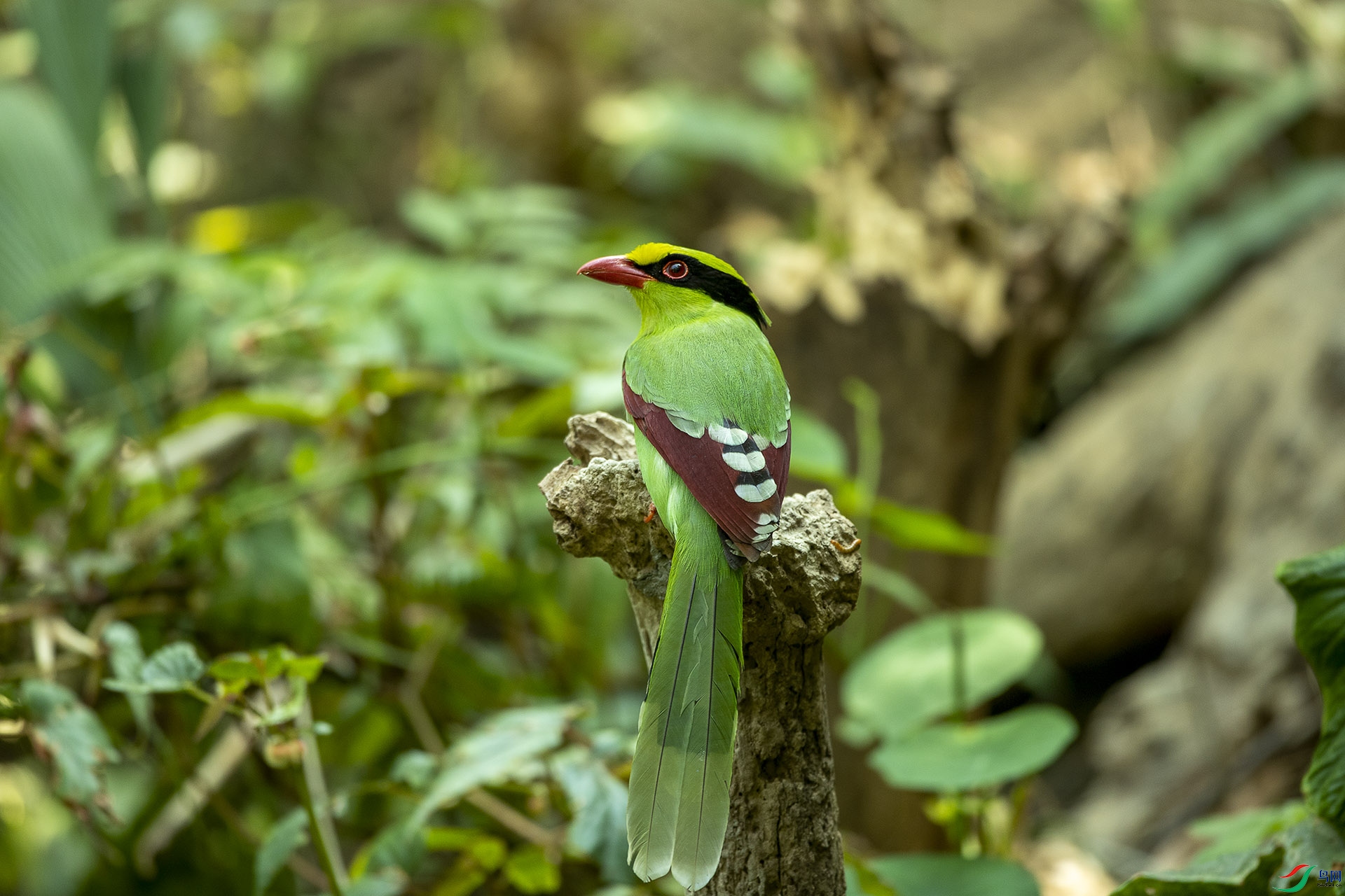 CD0I2274 ����.jpg