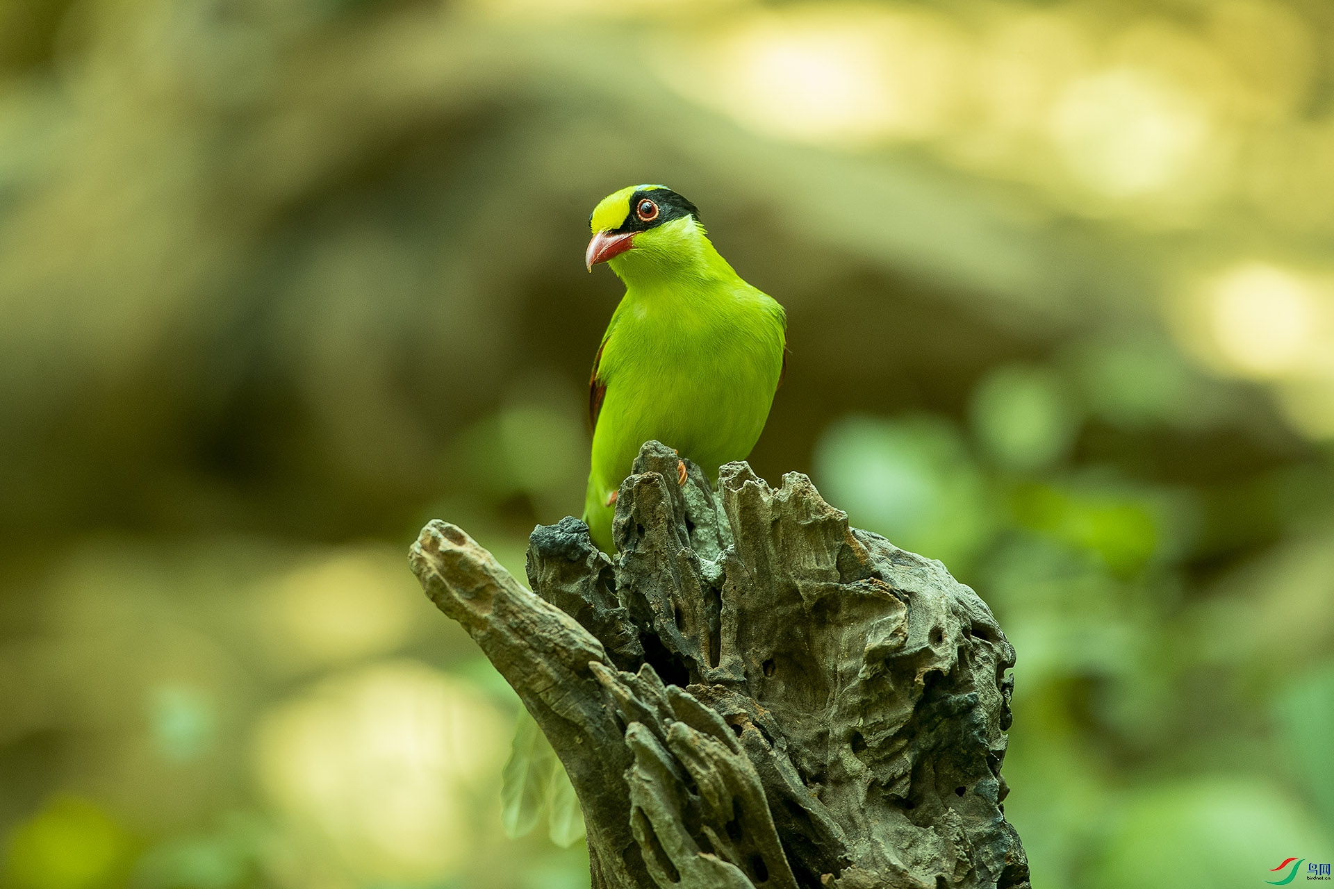 CD0I2278 ����.jpg