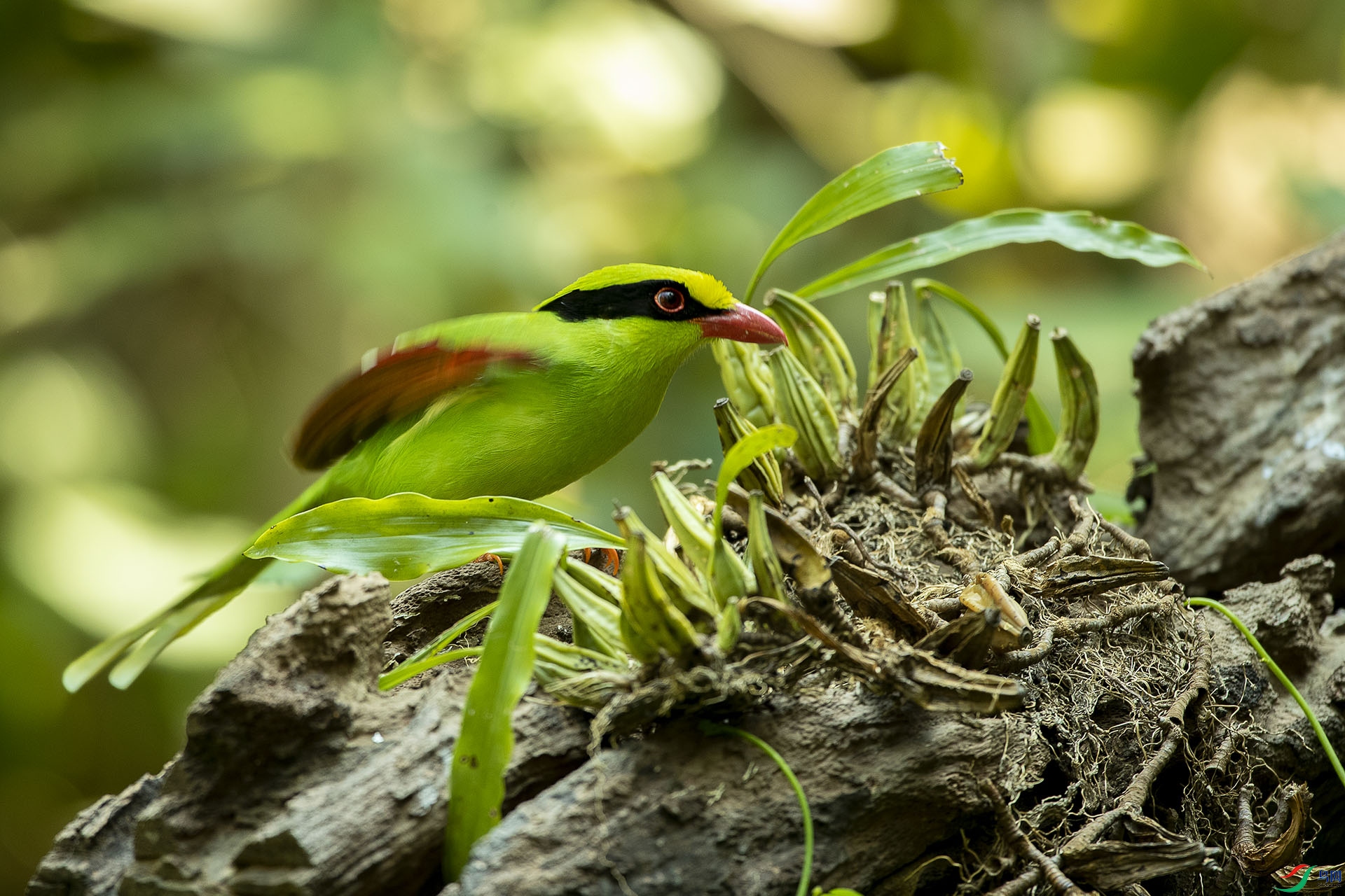 CD0I2252 ����.jpg