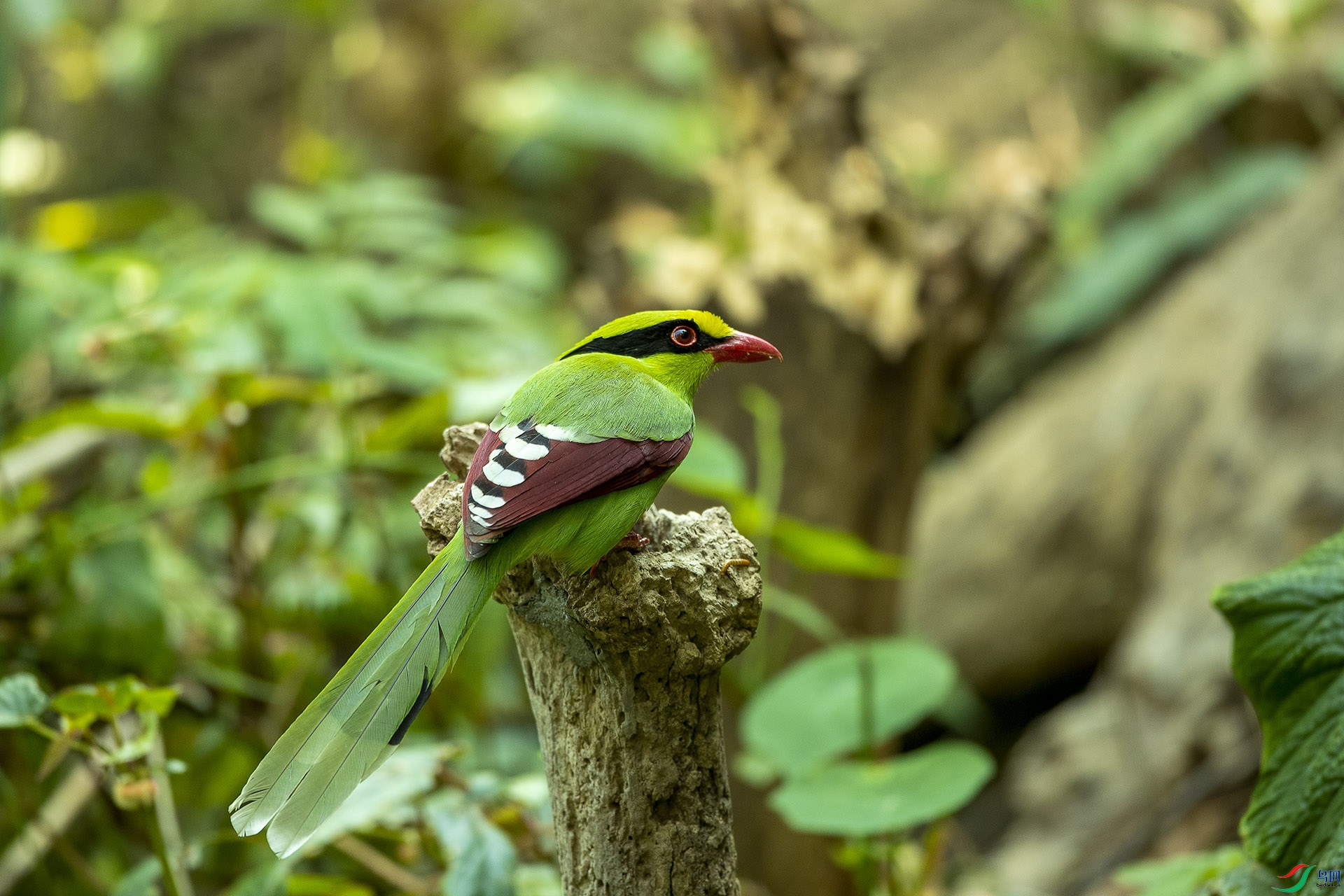 CD0I2268 ����.jpg