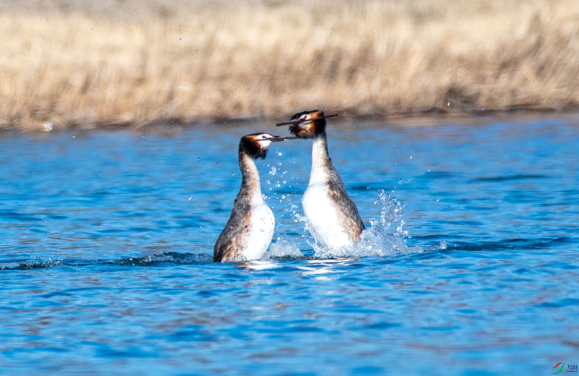DSC_7649.jpg